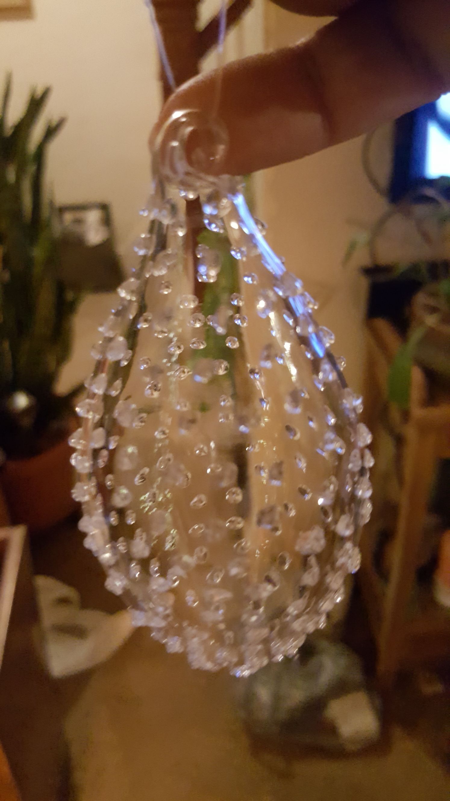 Prickly Oval  (Prickly) ornament collectible - Main Image 1