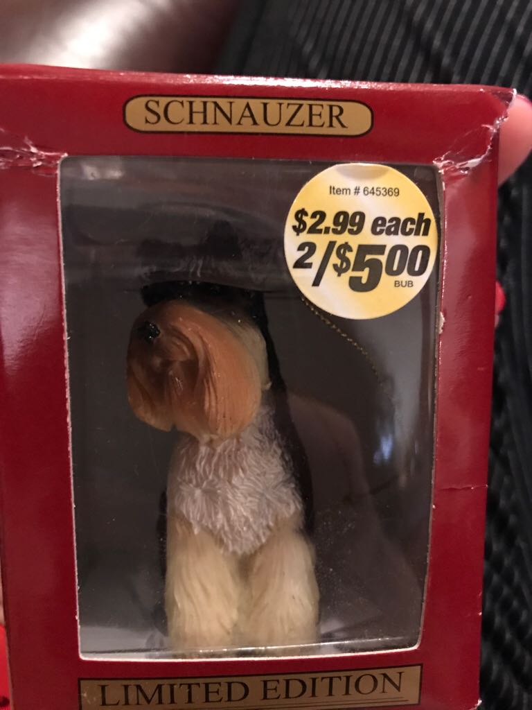 The Guardian Of Gotham City