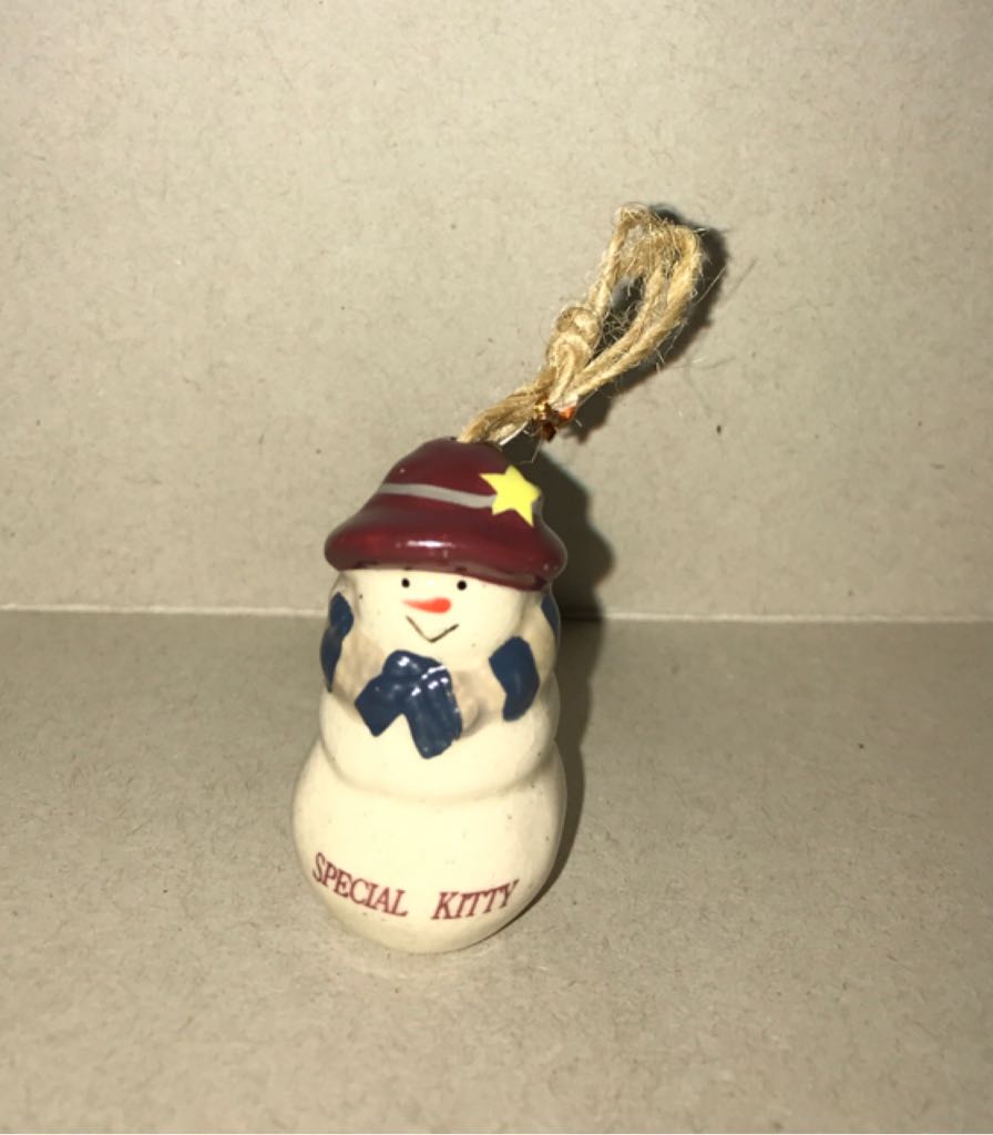 Williamsburg Colonial Soldier