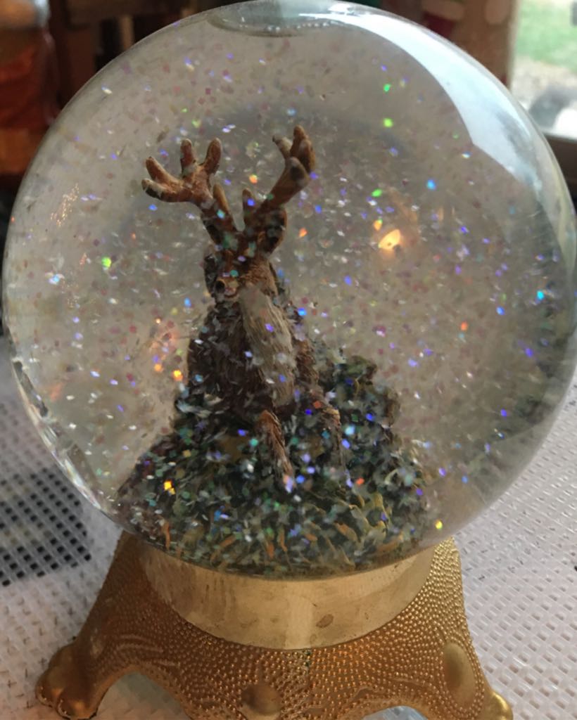 Cellphone Carrier Case (Oakland Raiders)