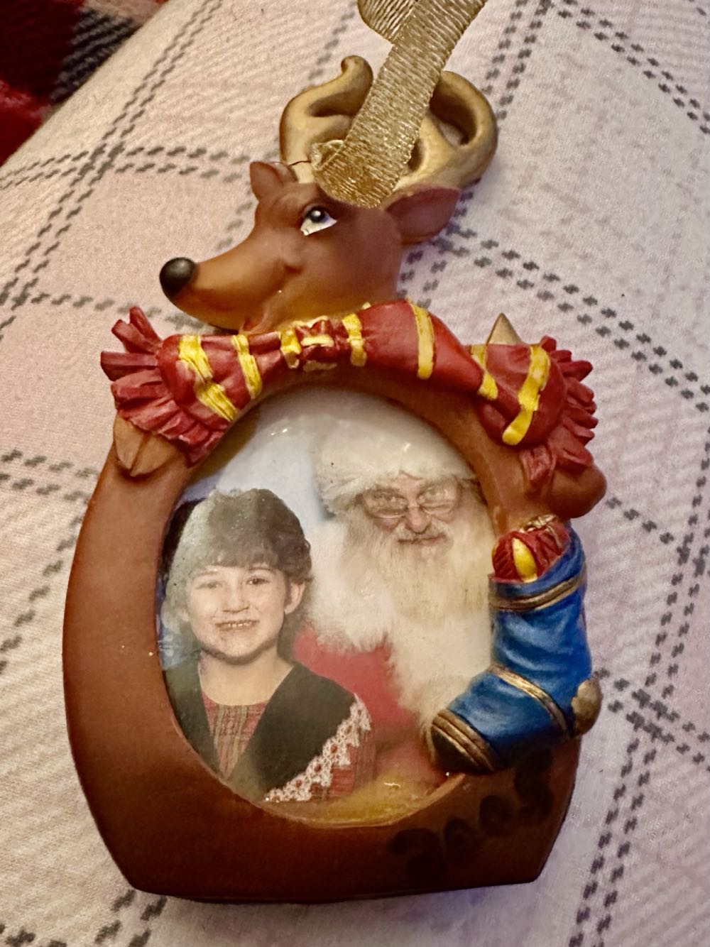 Reindeer Photo Ornament  ornament collectible - Main Image 2