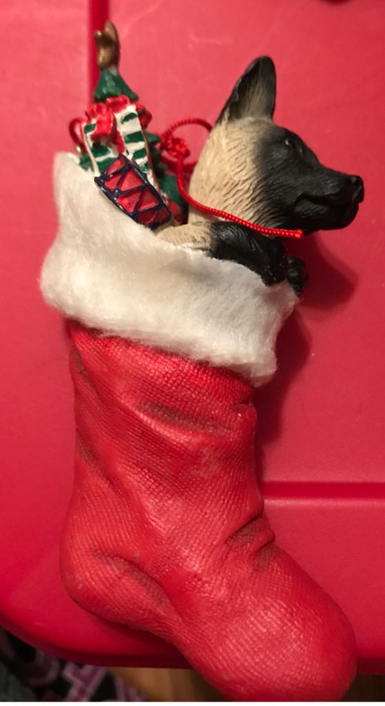 Steamboat Willie Set Of 4