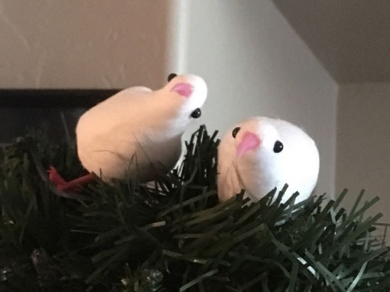 Bear With Gift Ice Scating