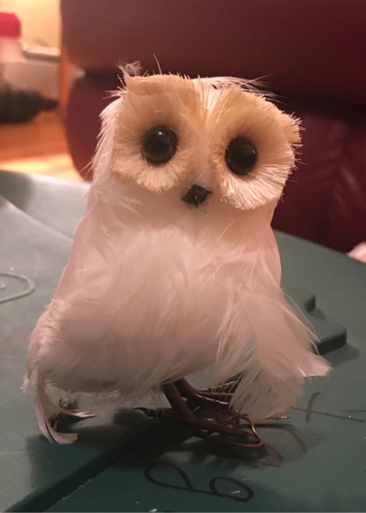 Baby Girl First Christmas