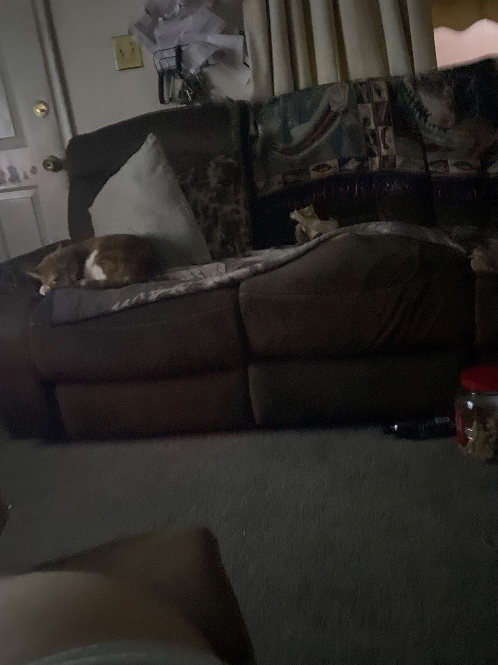 Boy And Christmas Tree  (Christmas) ornament collectible - Main Image 2