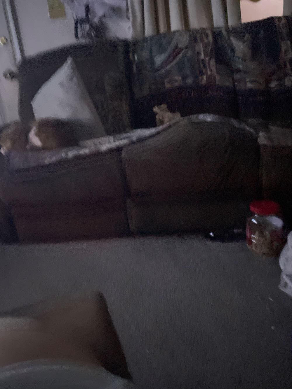 Boy And Christmas Tree  (Christmas) ornament collectible - Main Image 3