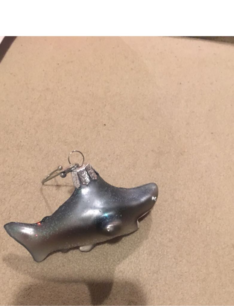 Epcot Moonlight Magic