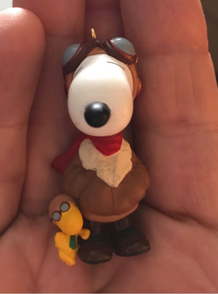 Flocked - Raggady Andy