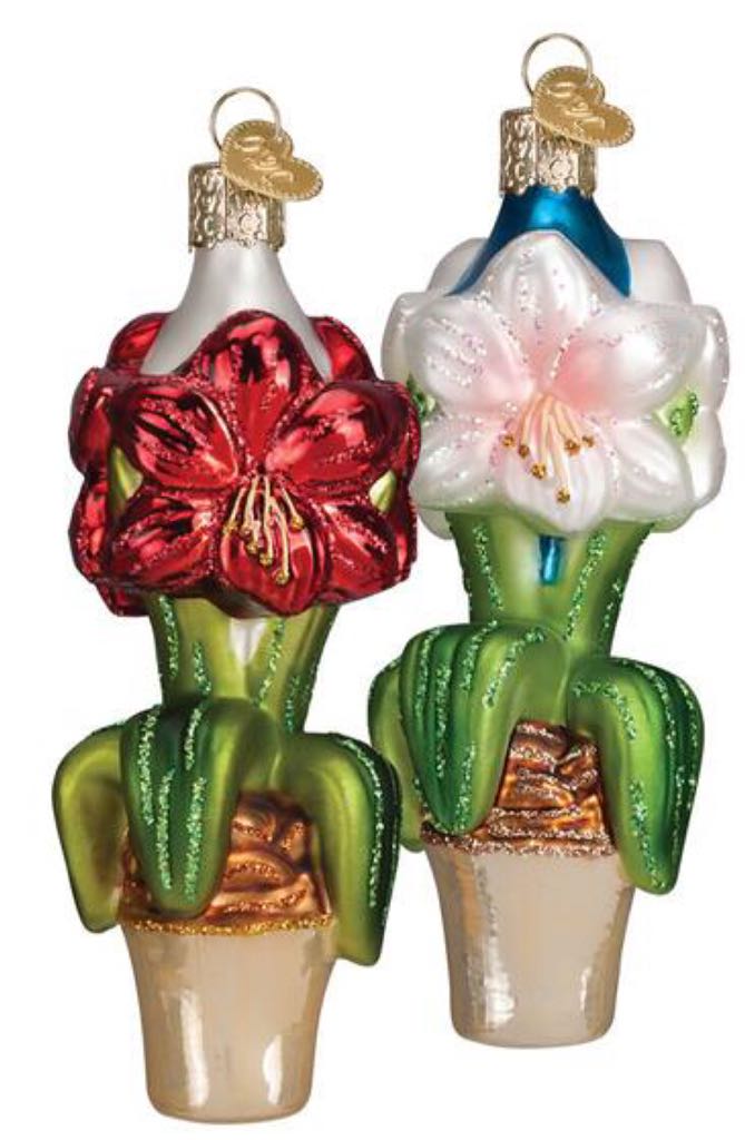 Amaryllis  ornament collectible - Main Image 2