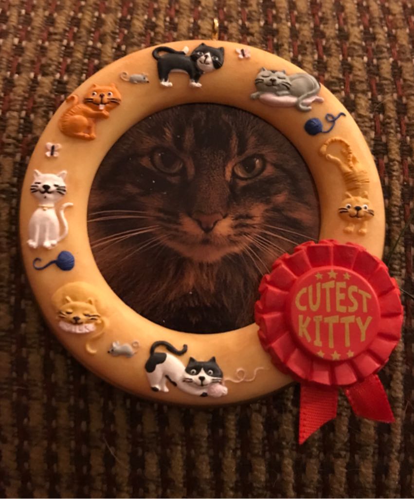 Angel Twirl-About Motion