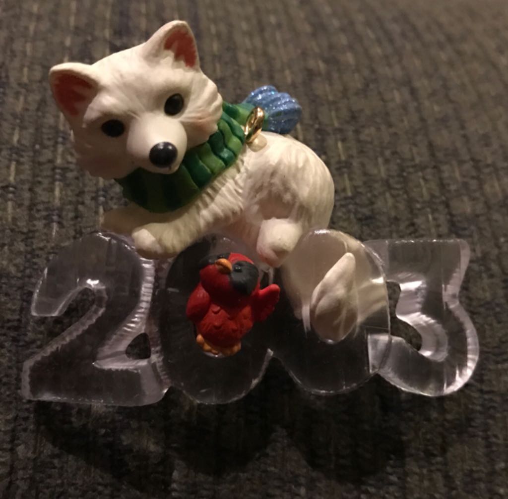 Mountain Climbing Santa