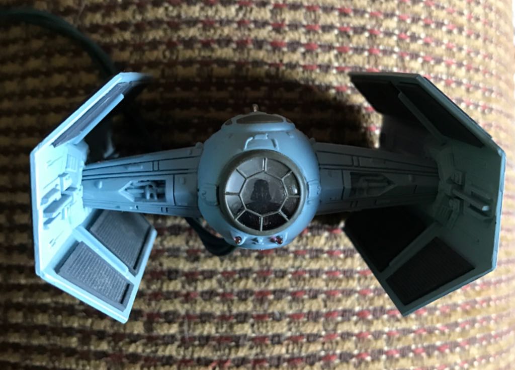 Mischievous Kittens 2018 #20