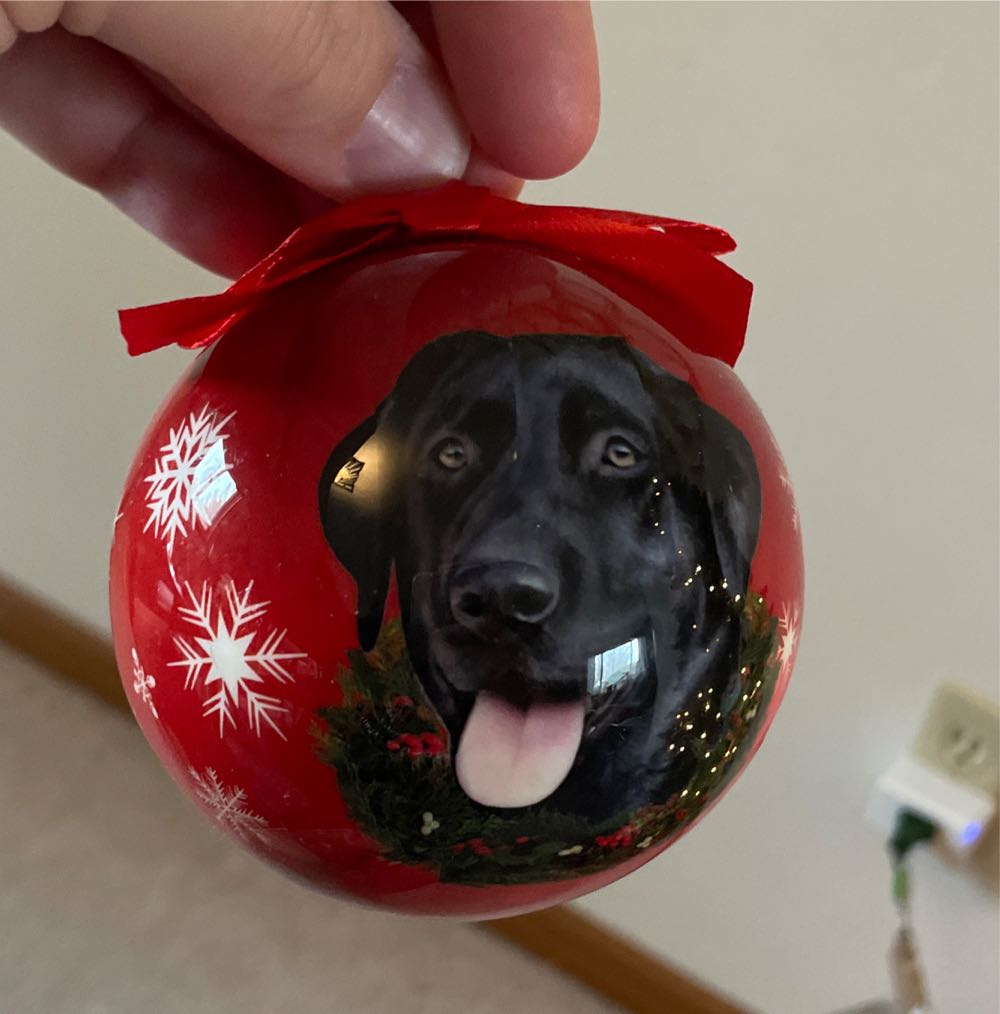 Image 100321
