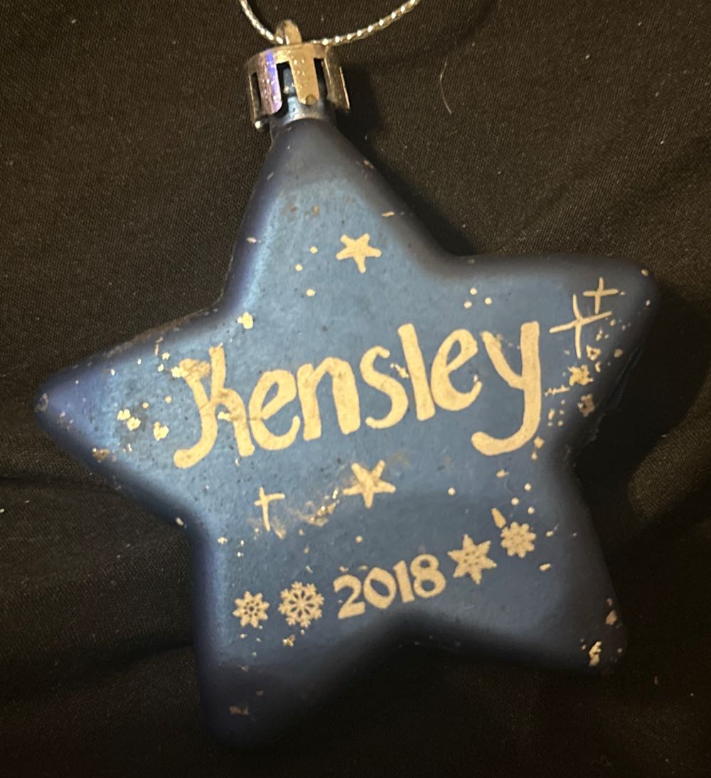 Moose From Monnesota