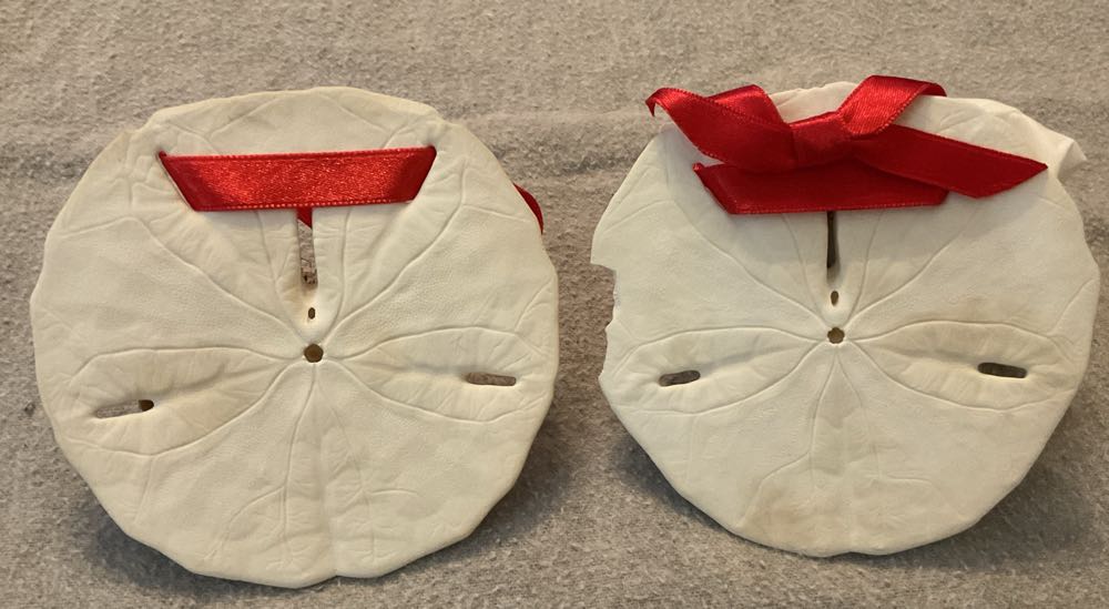 Sand Dollar Ornaments  (Souviners Of Travels) ornament collectible - Main Image 2