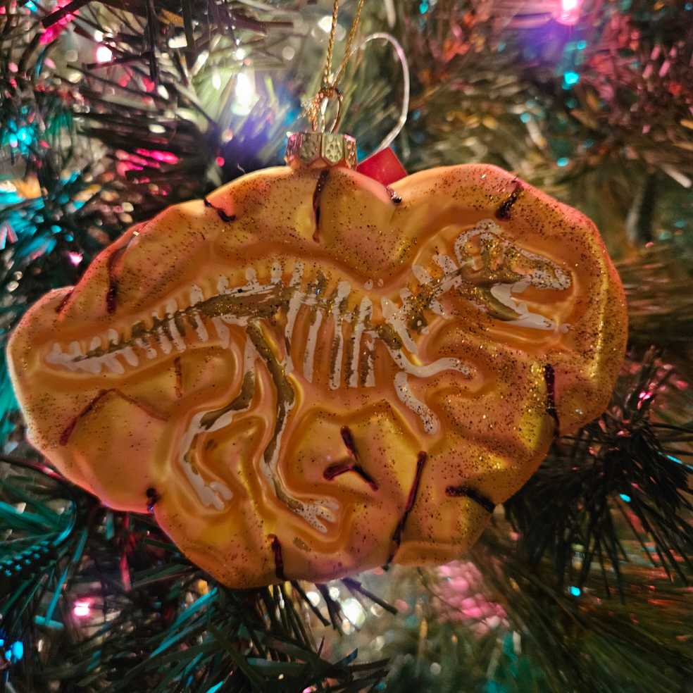 Annual Snowville Frozen Fun ~ Hallmark Book