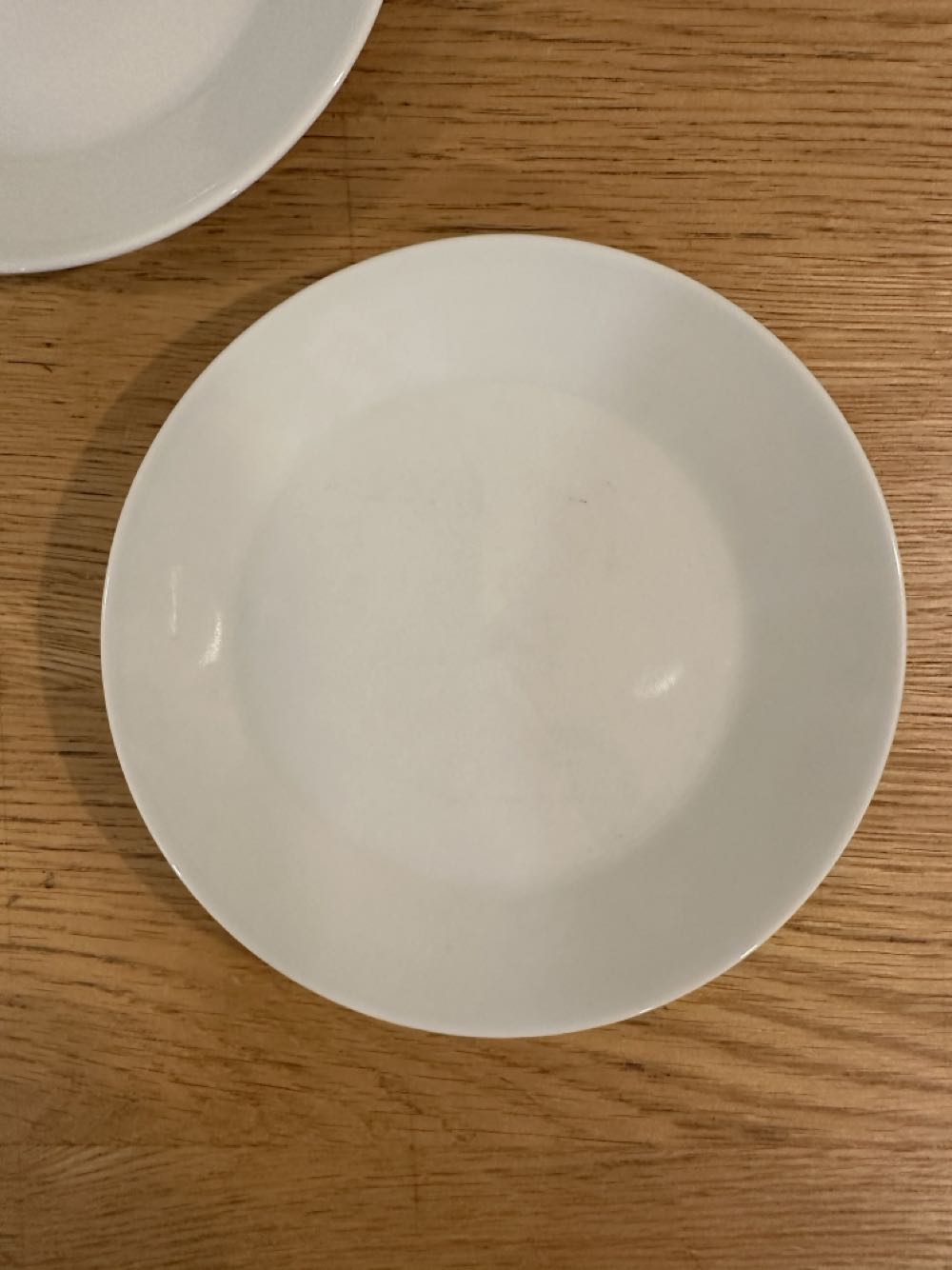 Painted Shell - Purple Palm Trees