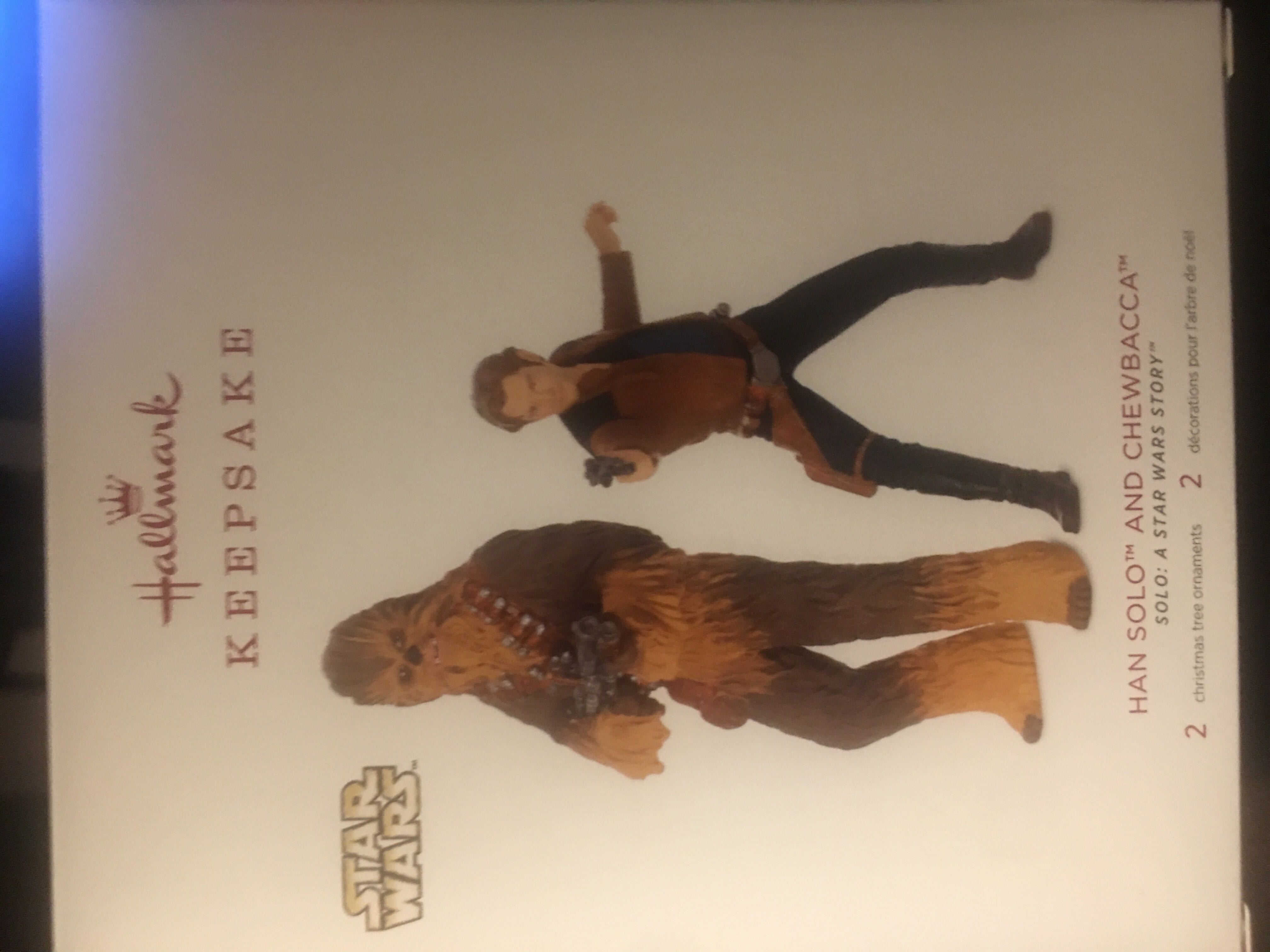 Rainbow Bird with feathers