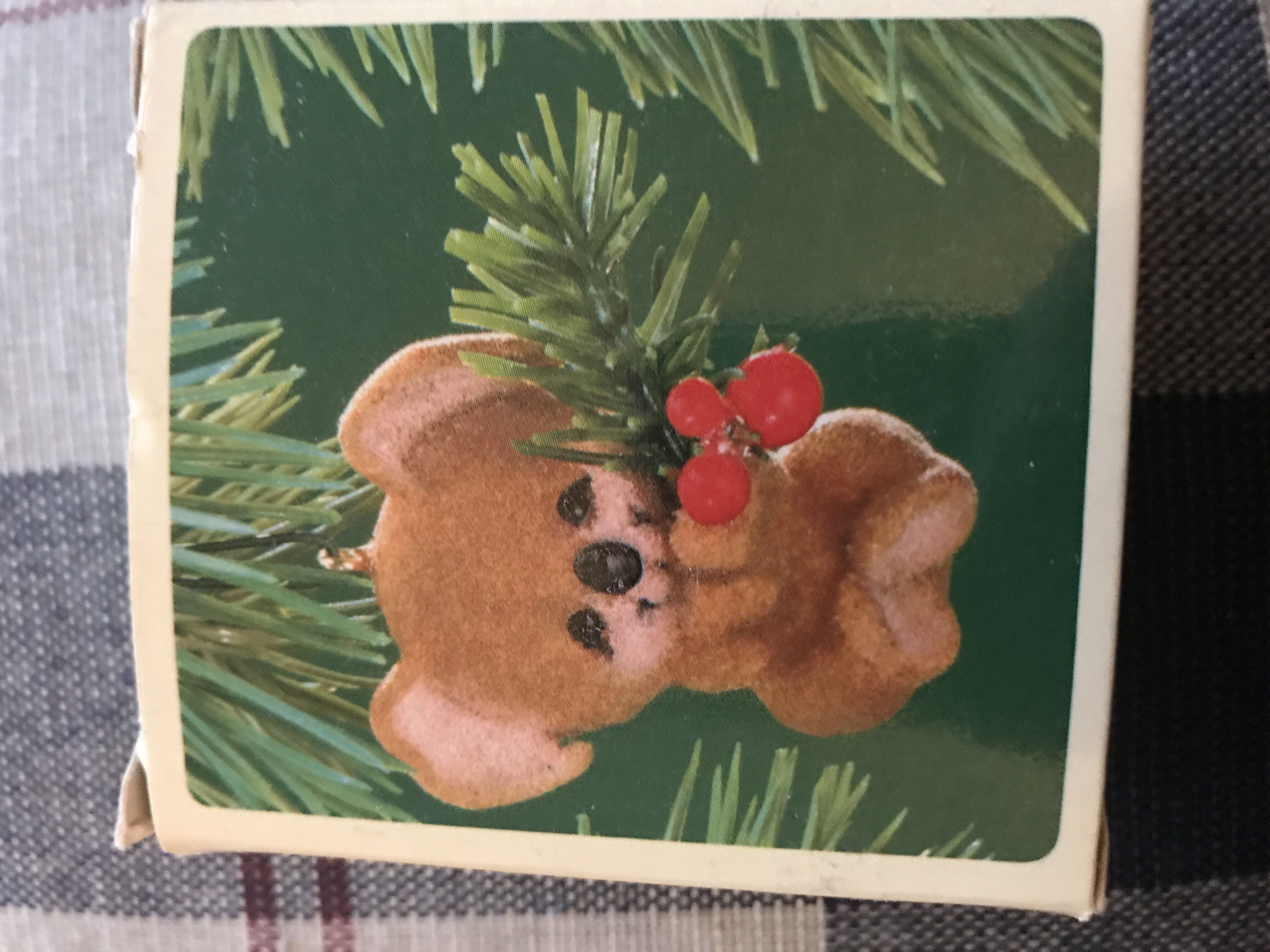 Mickey’s Not So Scary Halloween Party