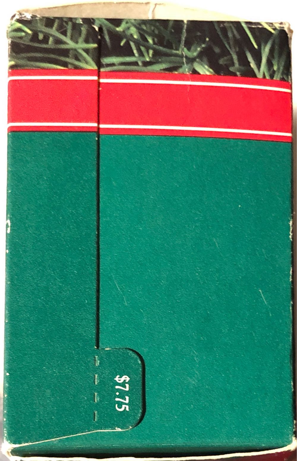 Poolside Walrus  - Keepsake Ornament Club (Summer) ornament collectible [Barcode 070000027437] - Main Image 4