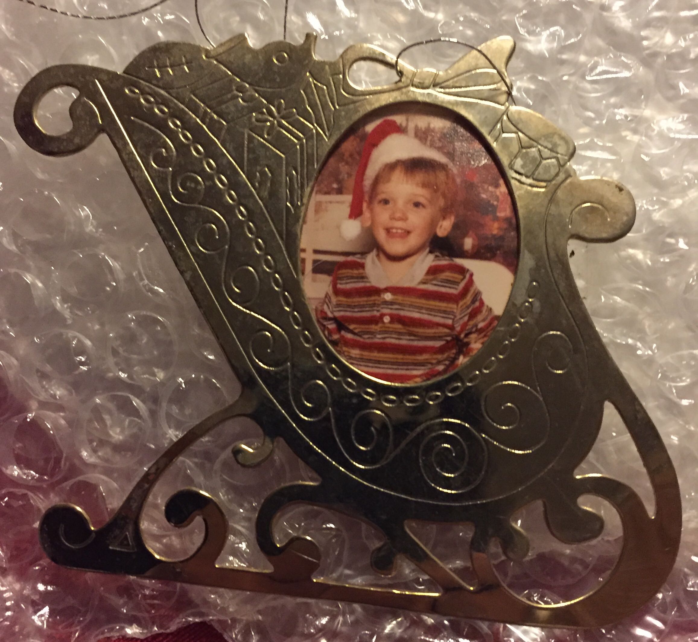 03 - Ring-necked Pheasant (of 07)