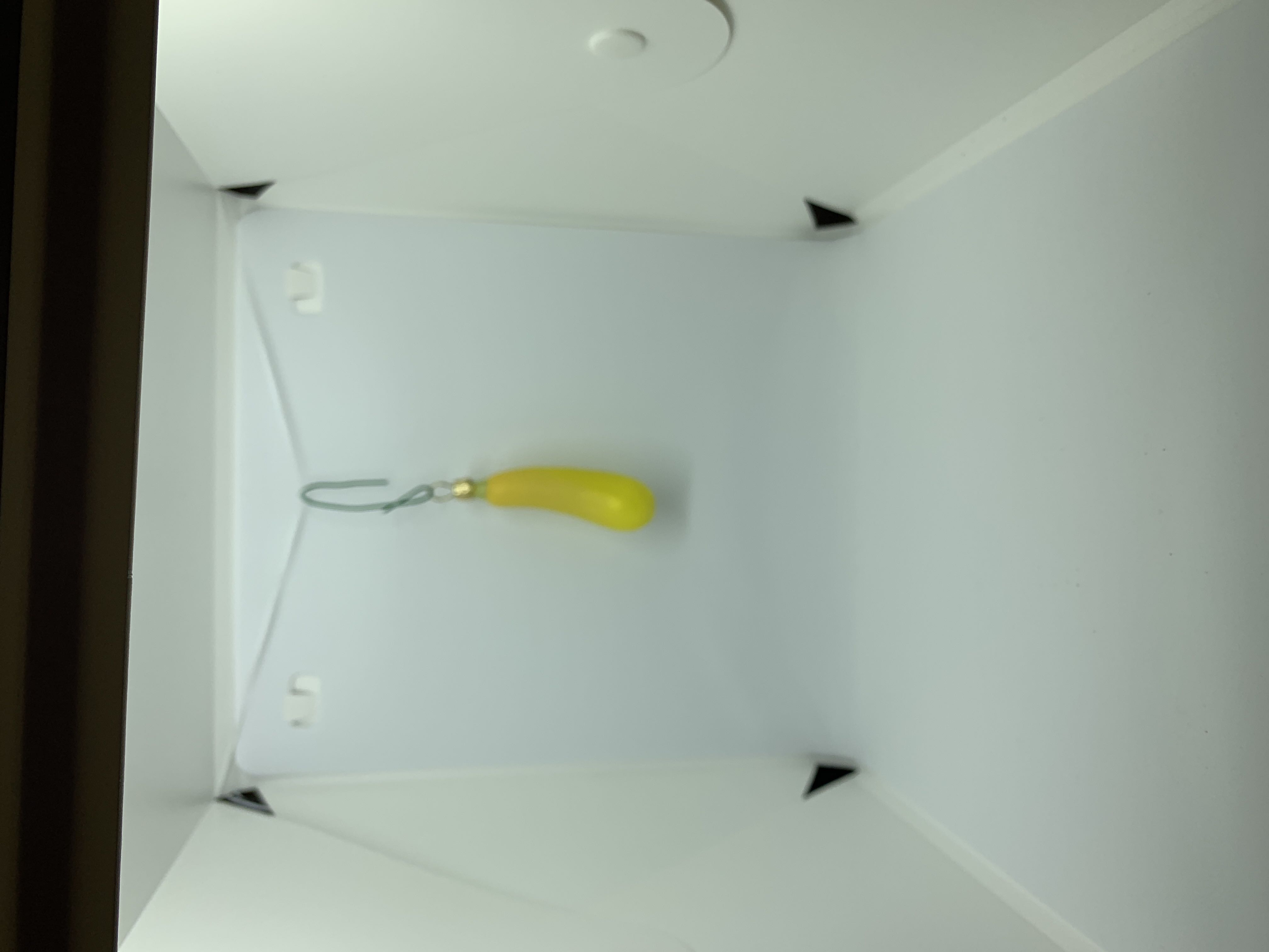 Squash  ornament collectible - Main Image 2