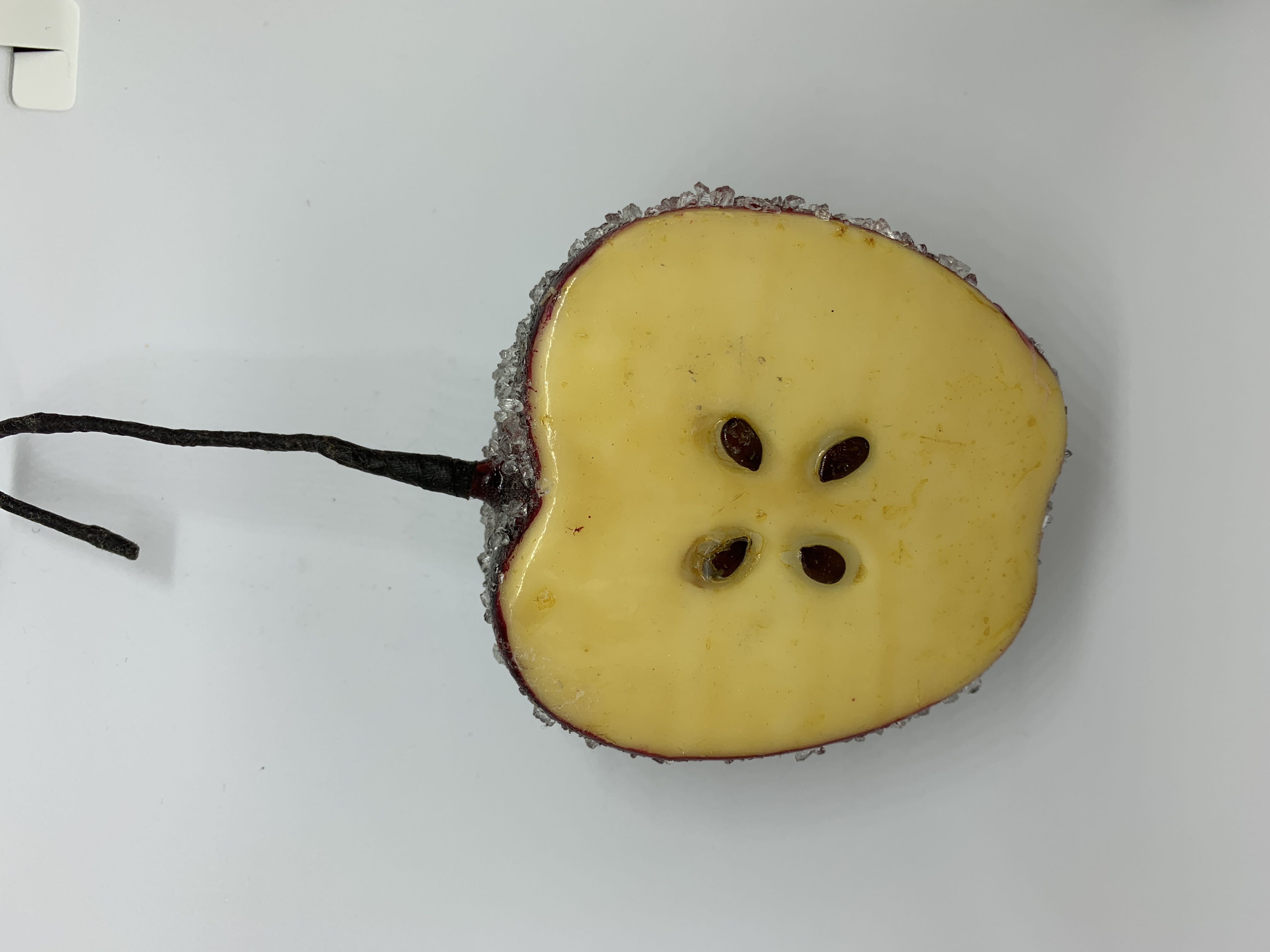 KA Shiny Red Cardinal On Pine Bough