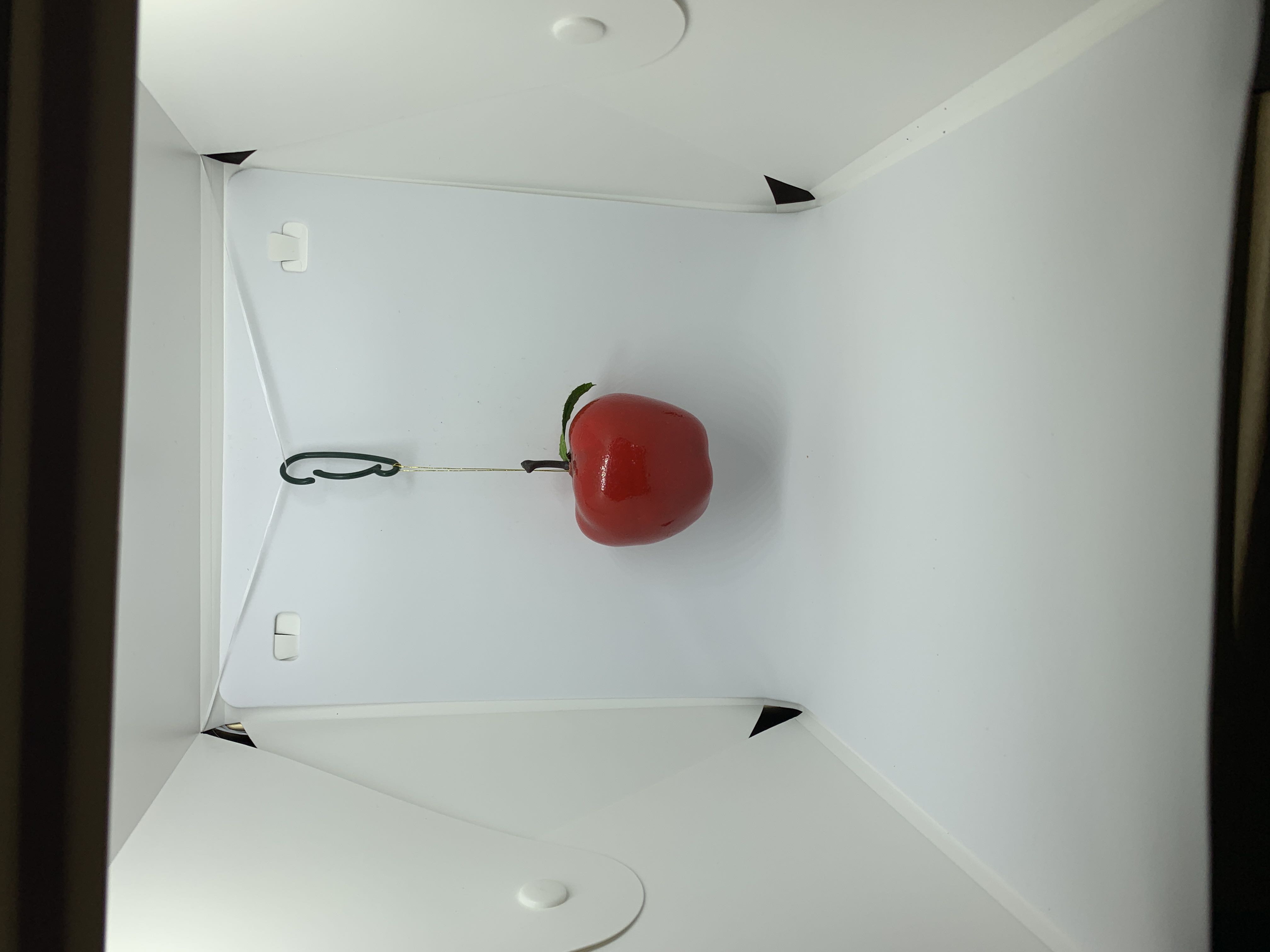 Apple  ornament collectible - Main Image 2