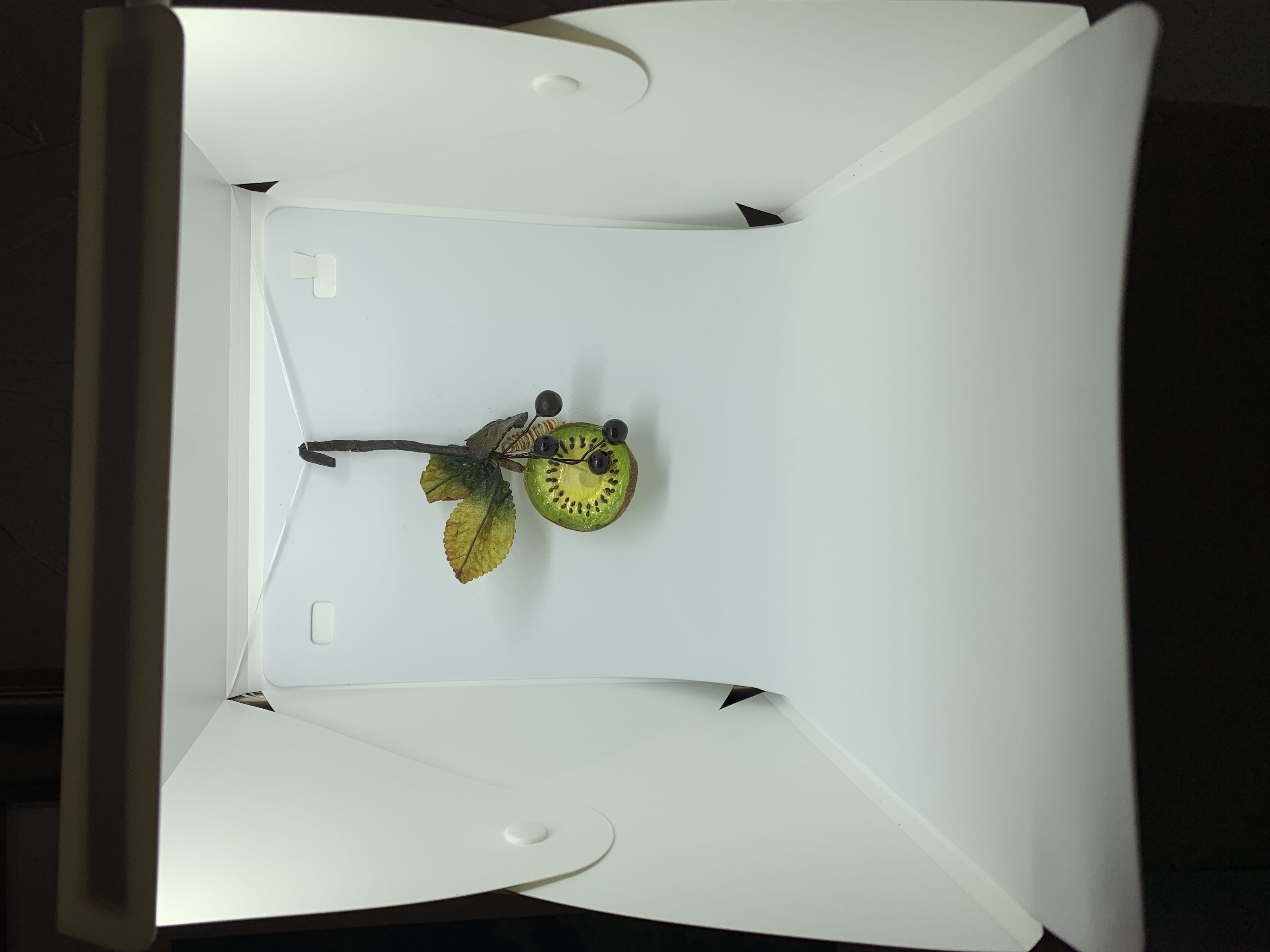 Kiwi  ornament collectible - Main Image 2