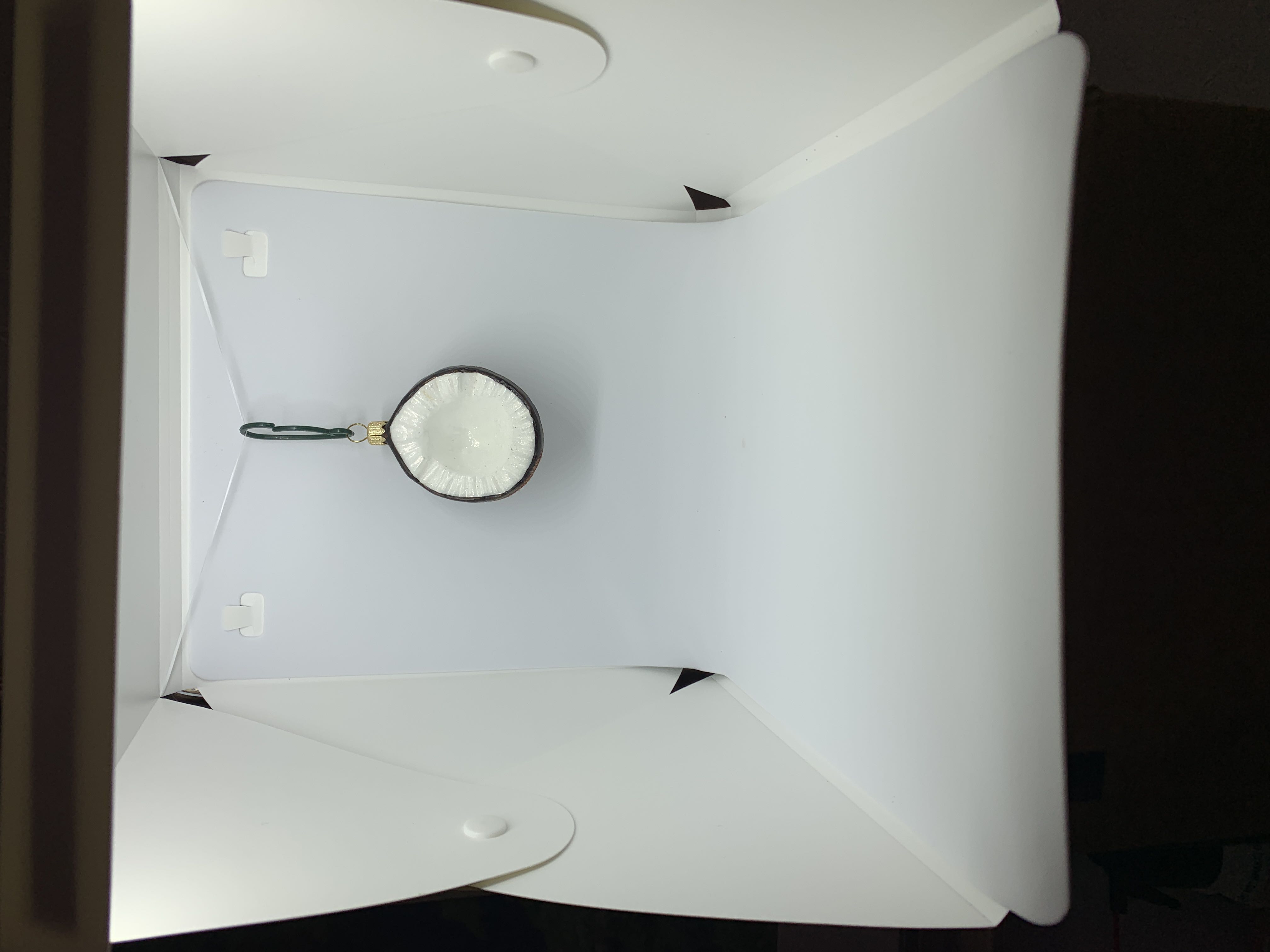 Coconut  ornament collectible - Main Image 3