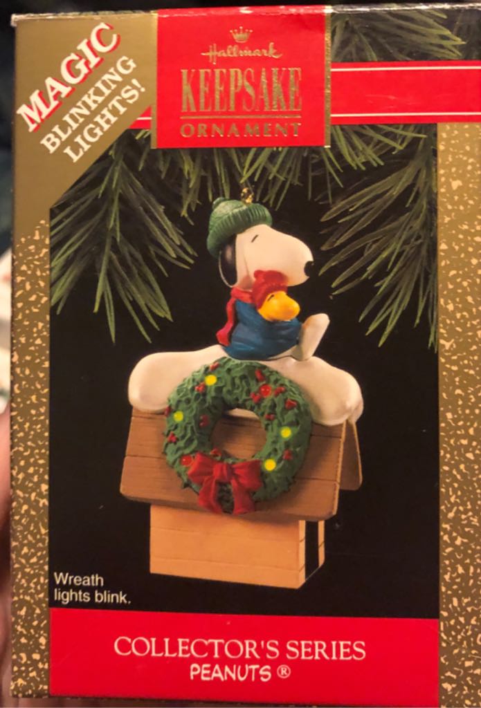 Pewter 1996 Harley Davidson Under Wraps