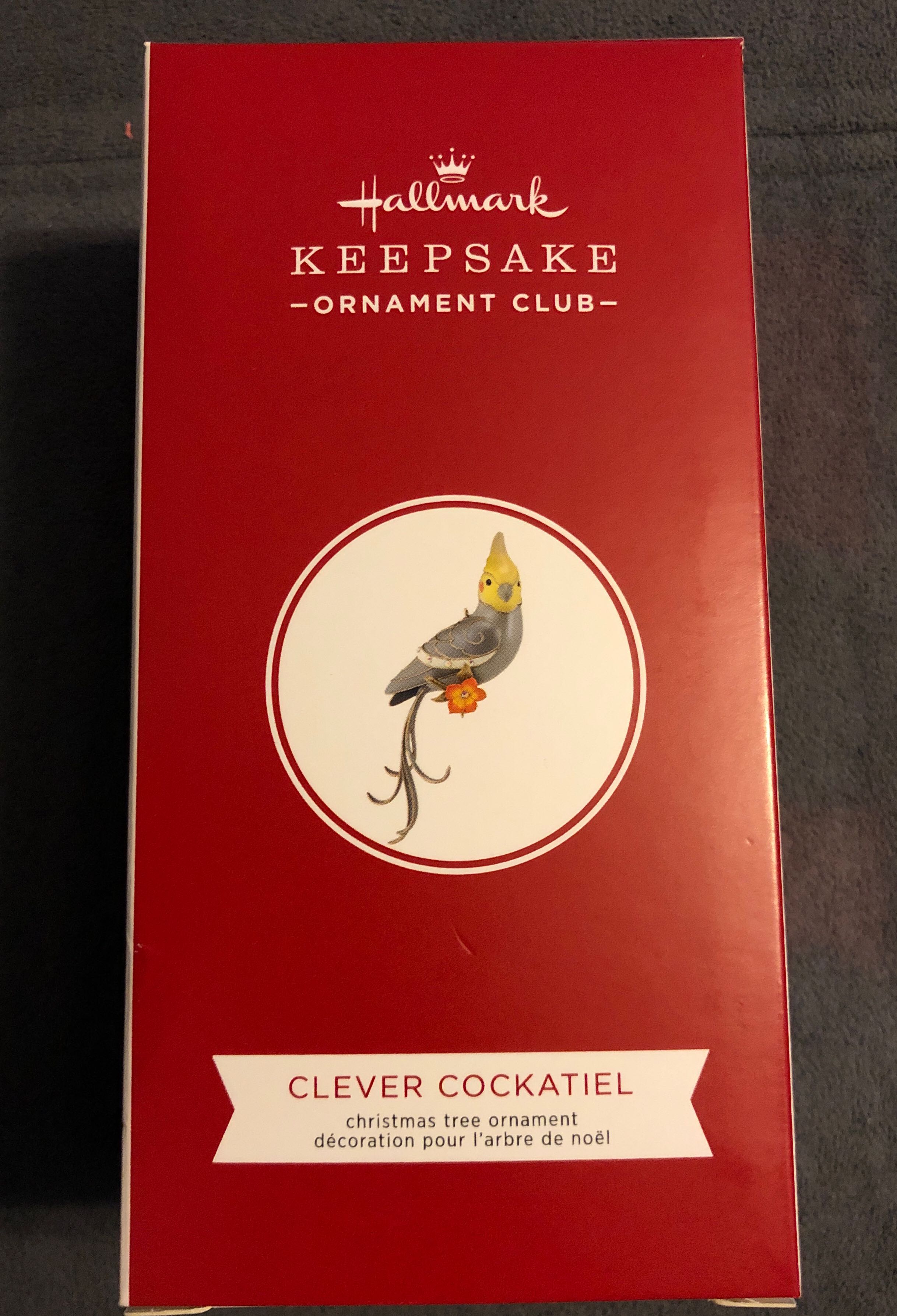 Deer Little Bull Dog