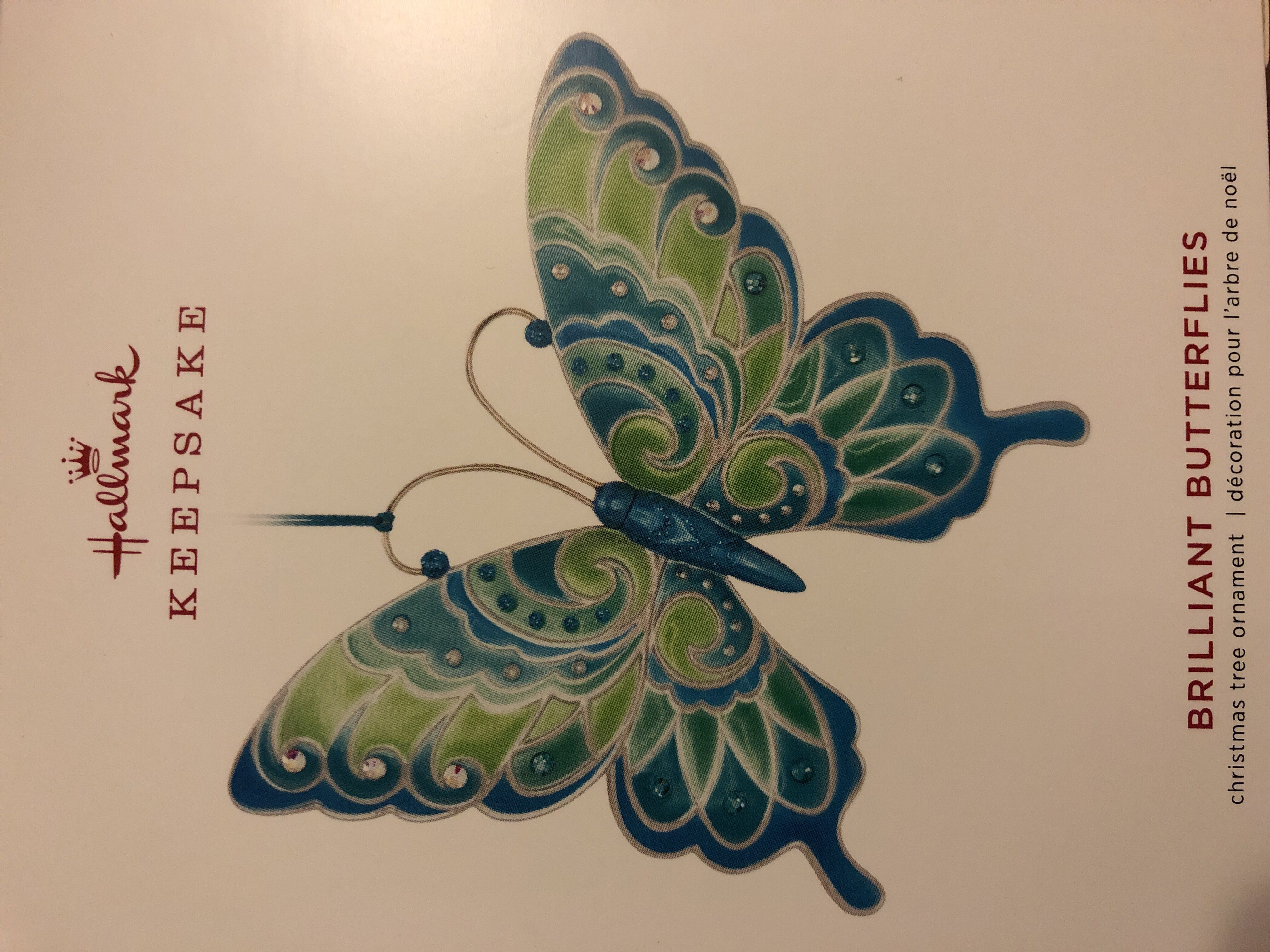 OWC Basket of Blueberries