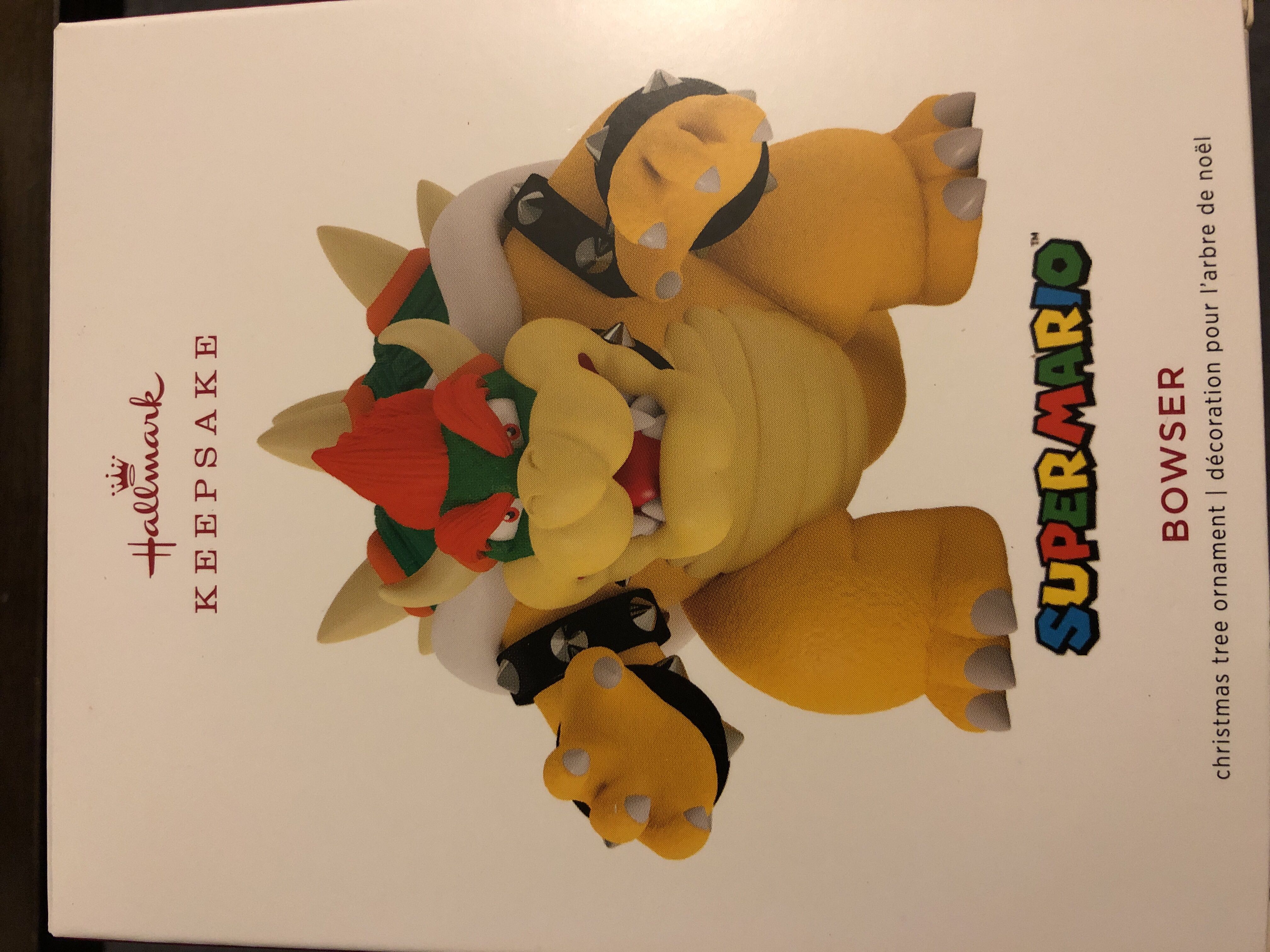 Mischievous Kittens: You’ve Been Caught