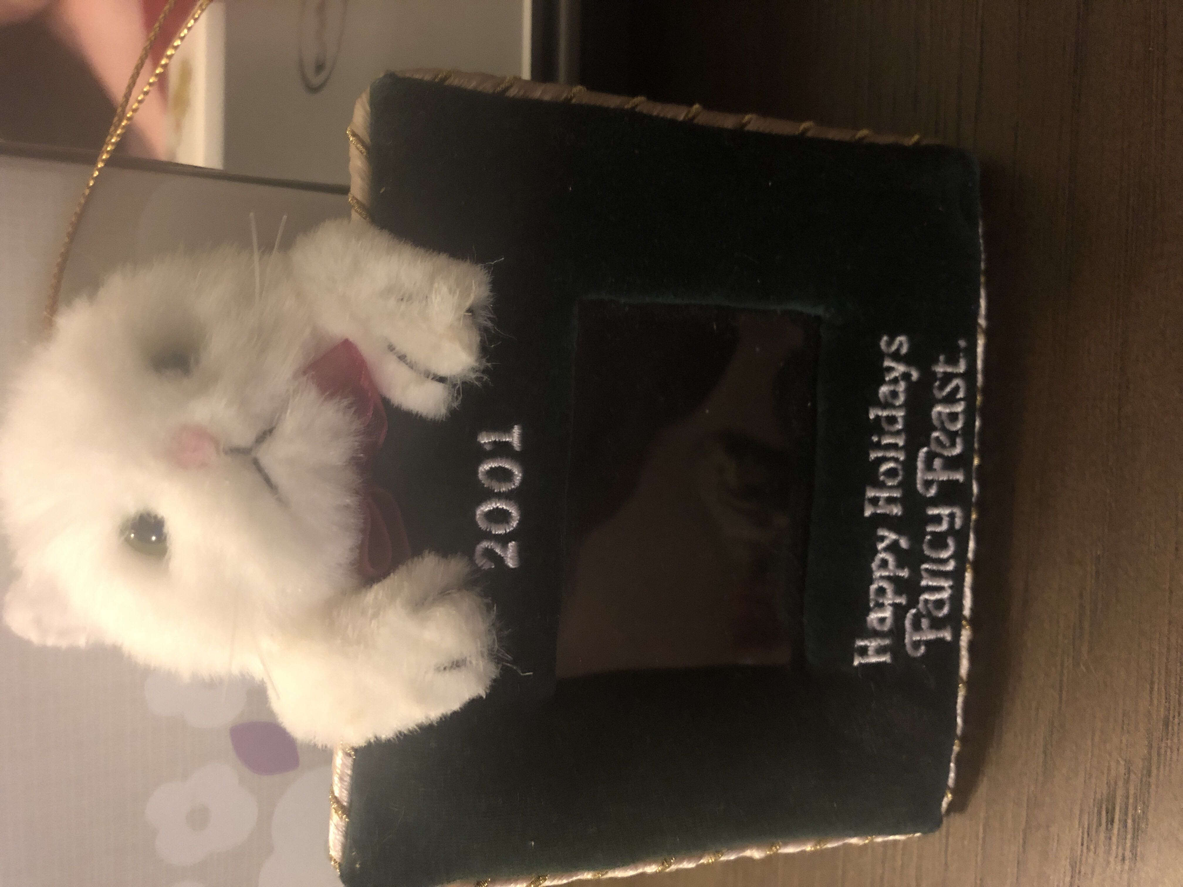 Christmas Tree Ornament - Personalized