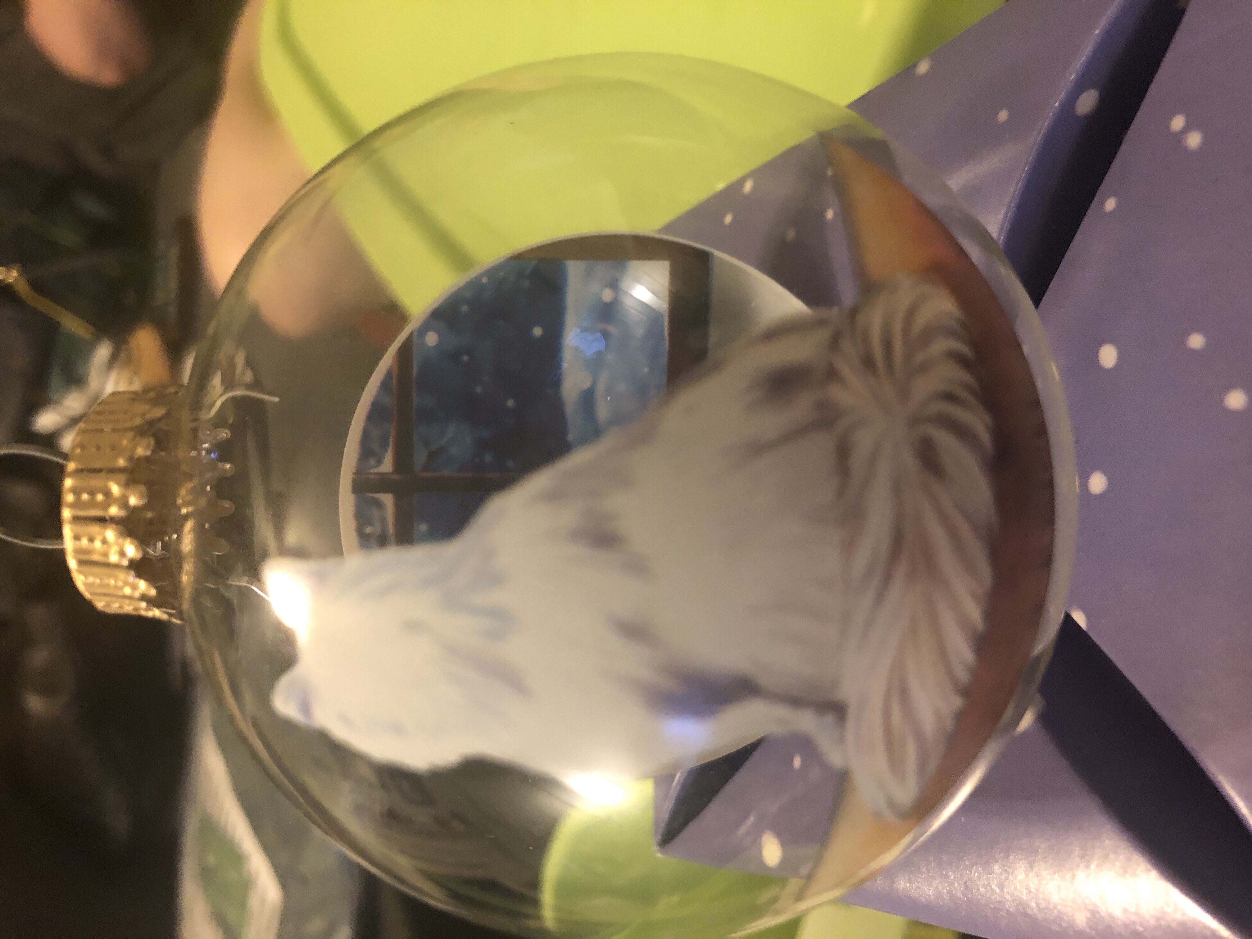 Fancy Feast 2010 - Fancy Feast (Cats) ornament collectible - Main Image 2