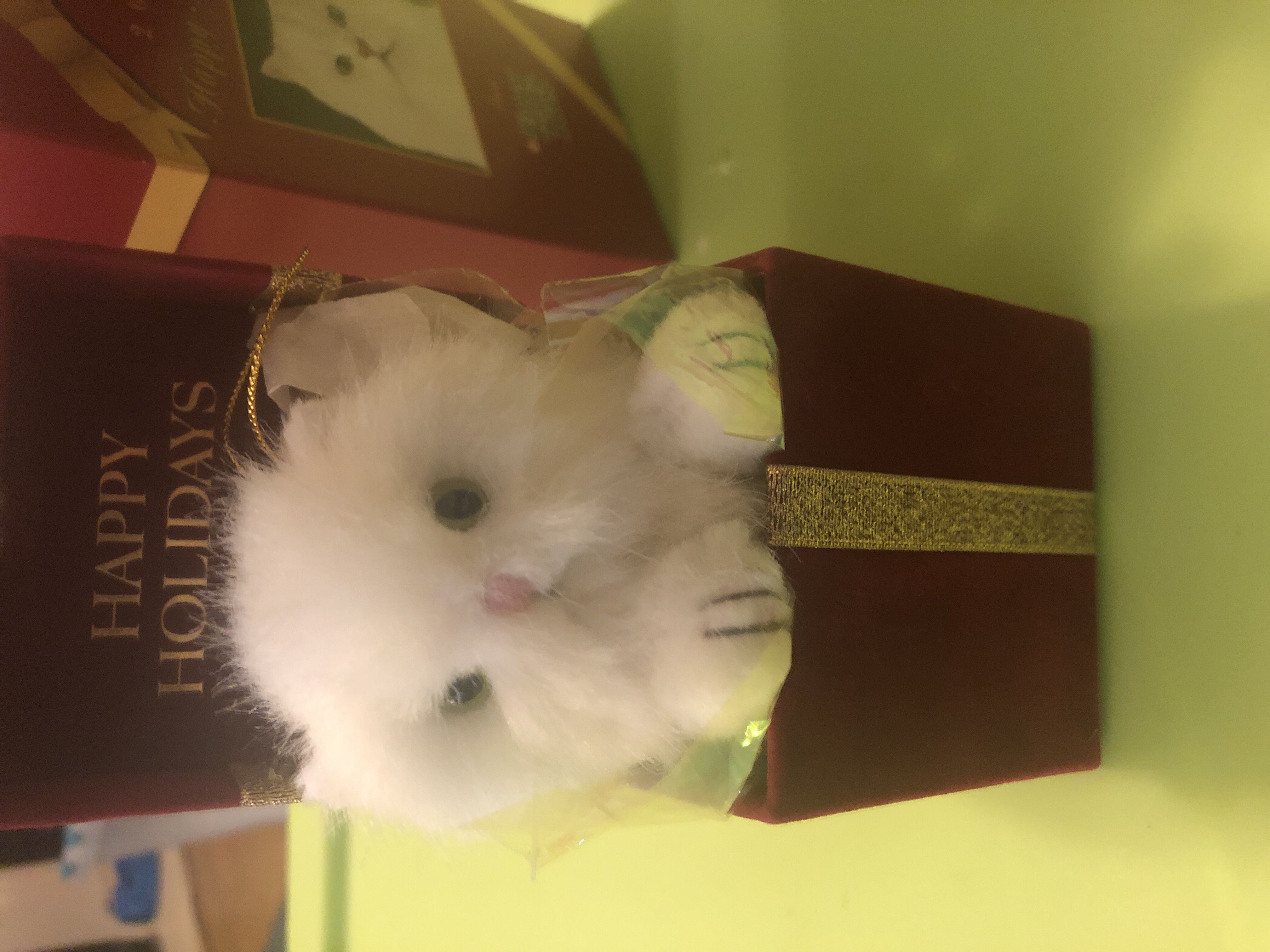 Home For the Owlidays