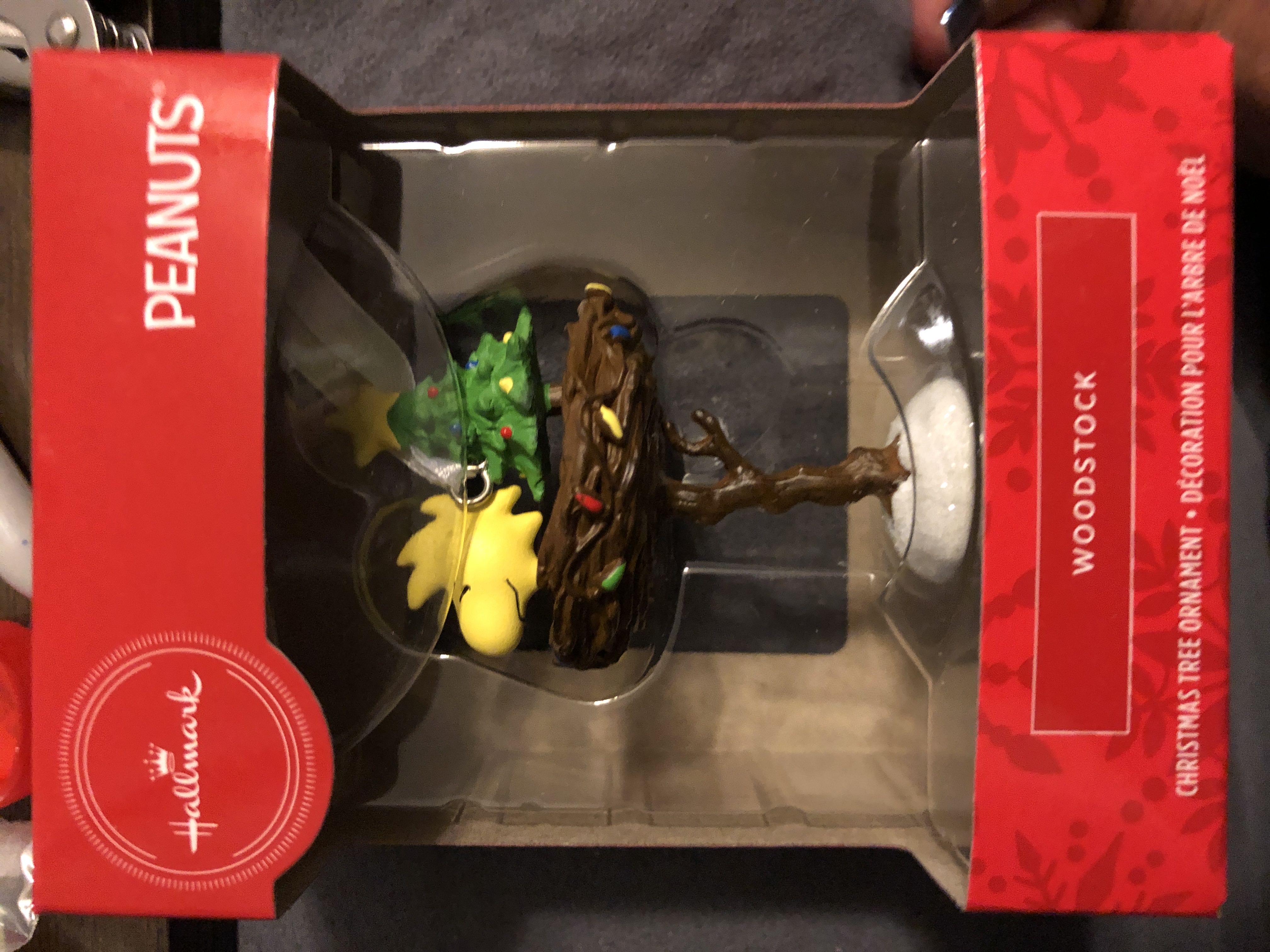 The Lion King 25th Anniversary