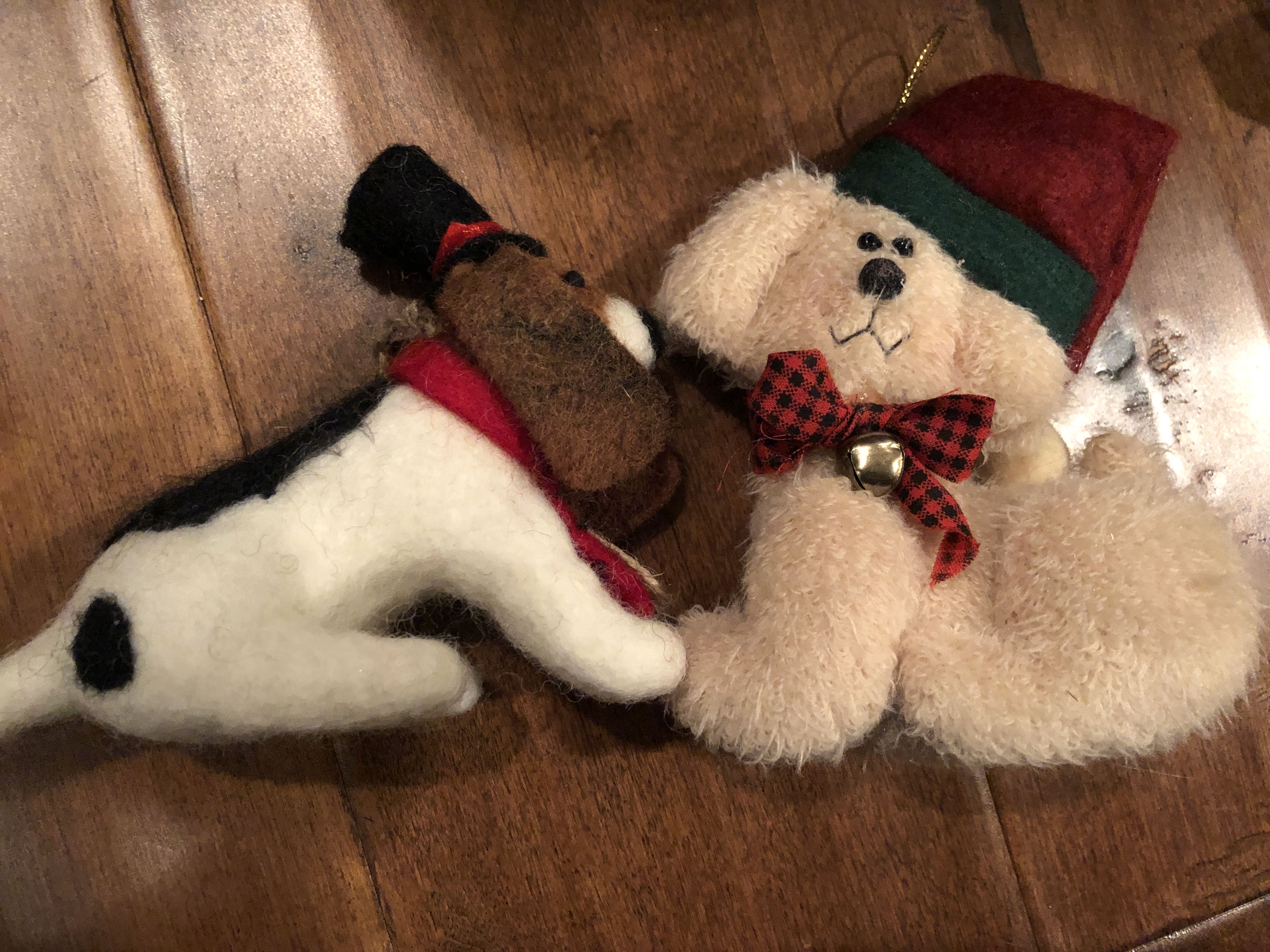 Taz And The She-Devil