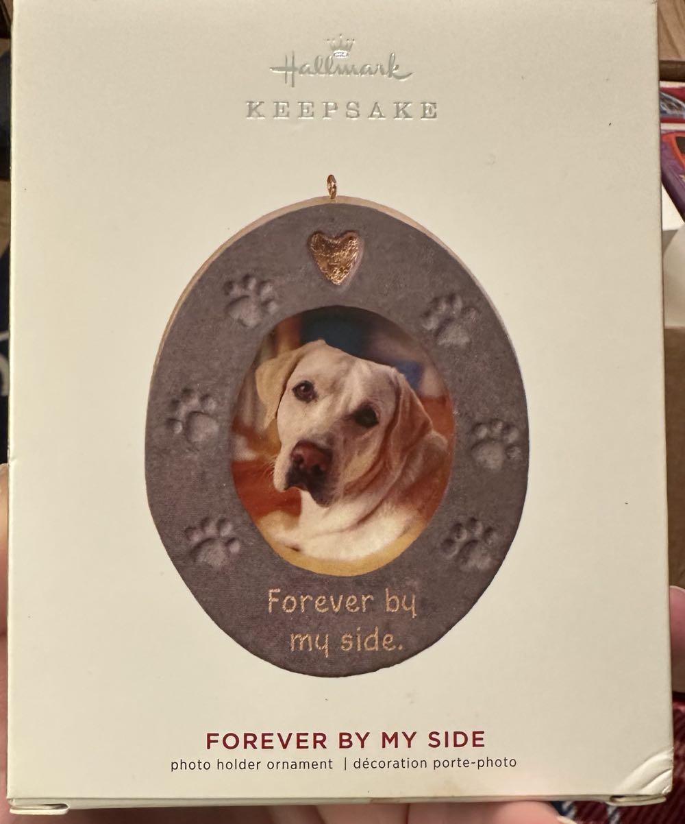 Keepsake Cupcakes #2 Sly And Sweet