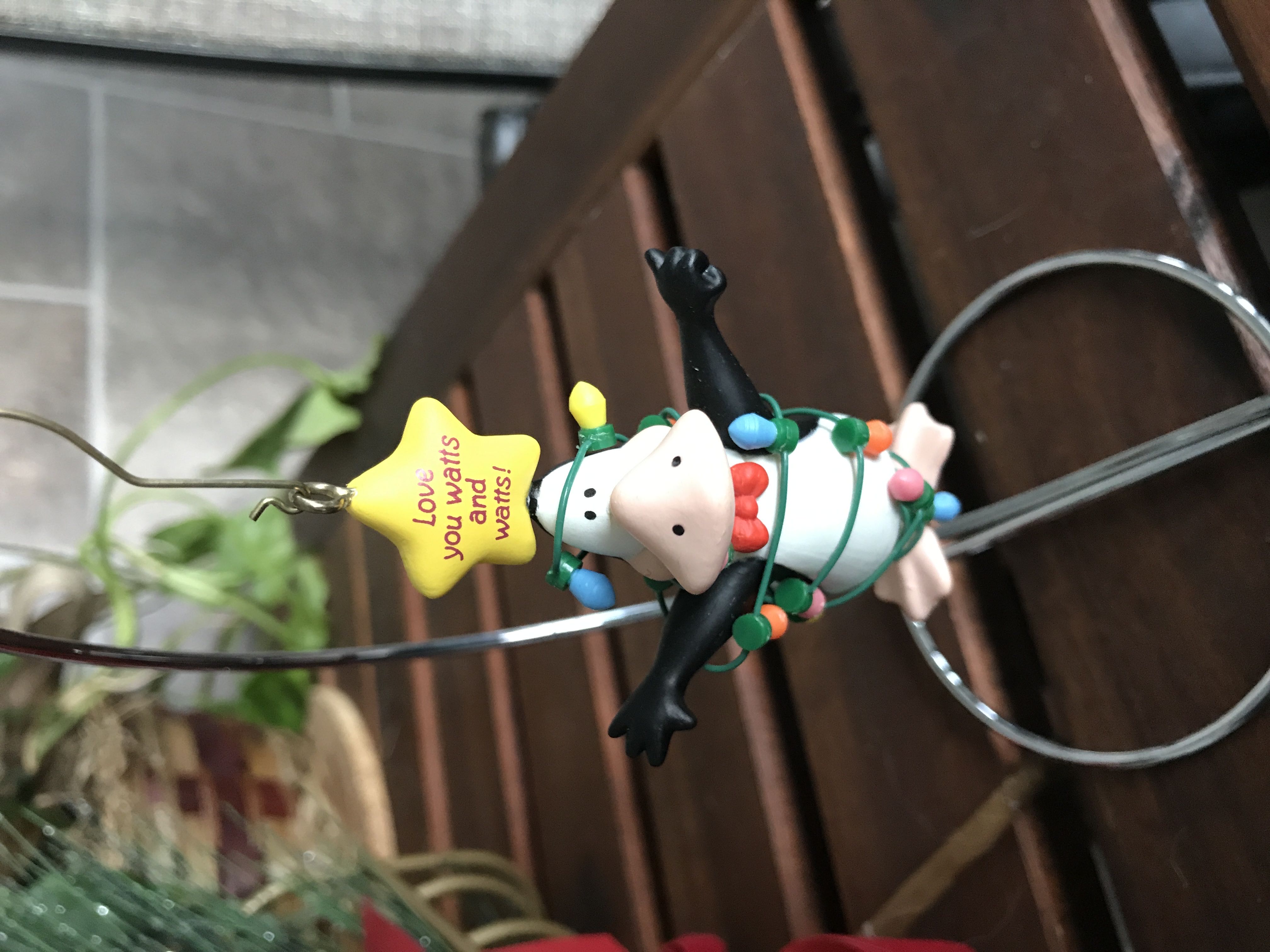 Christkindl Red Translucent Onion With Etched Snowflake