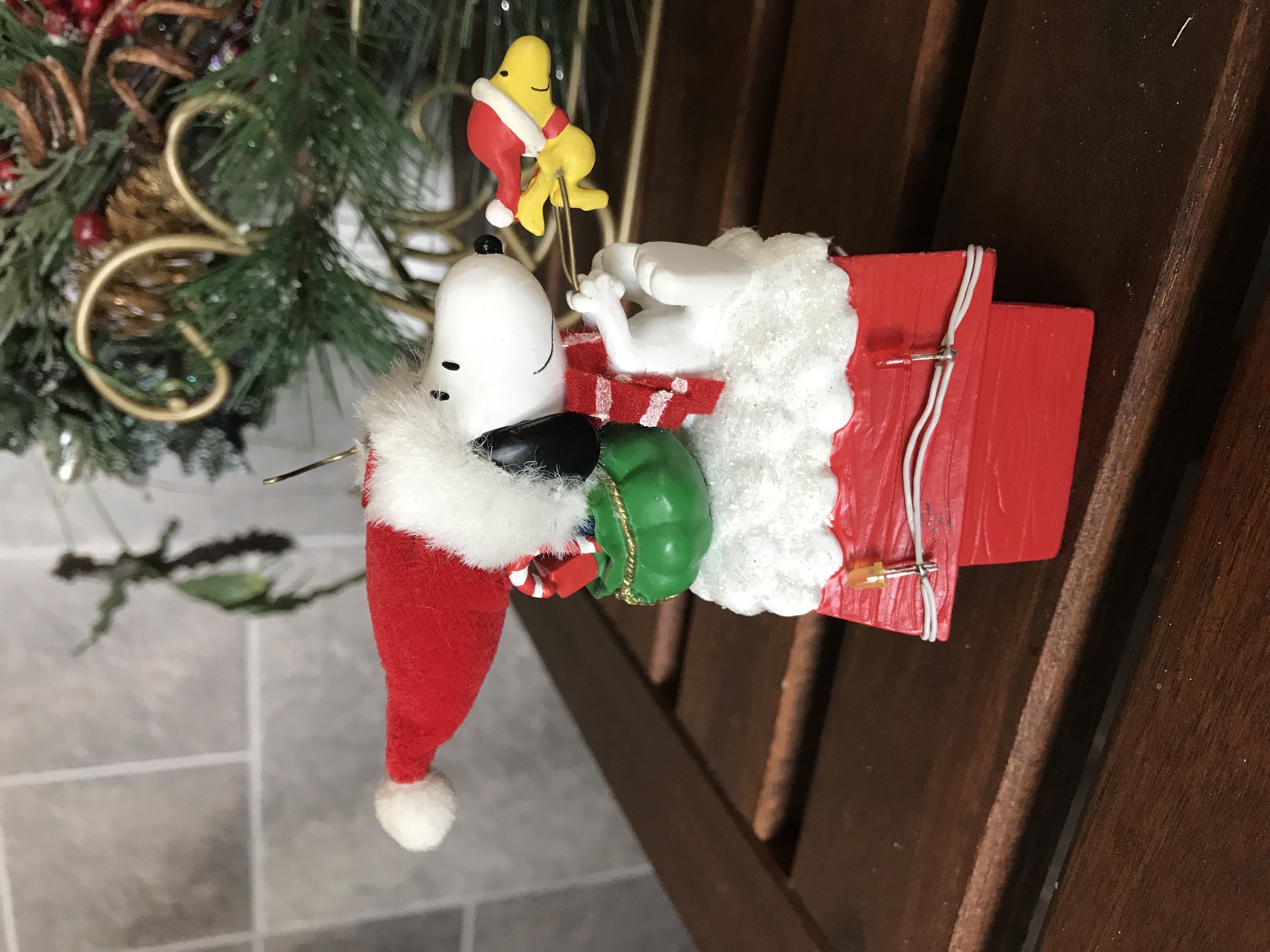 EB White Egg with Roosters