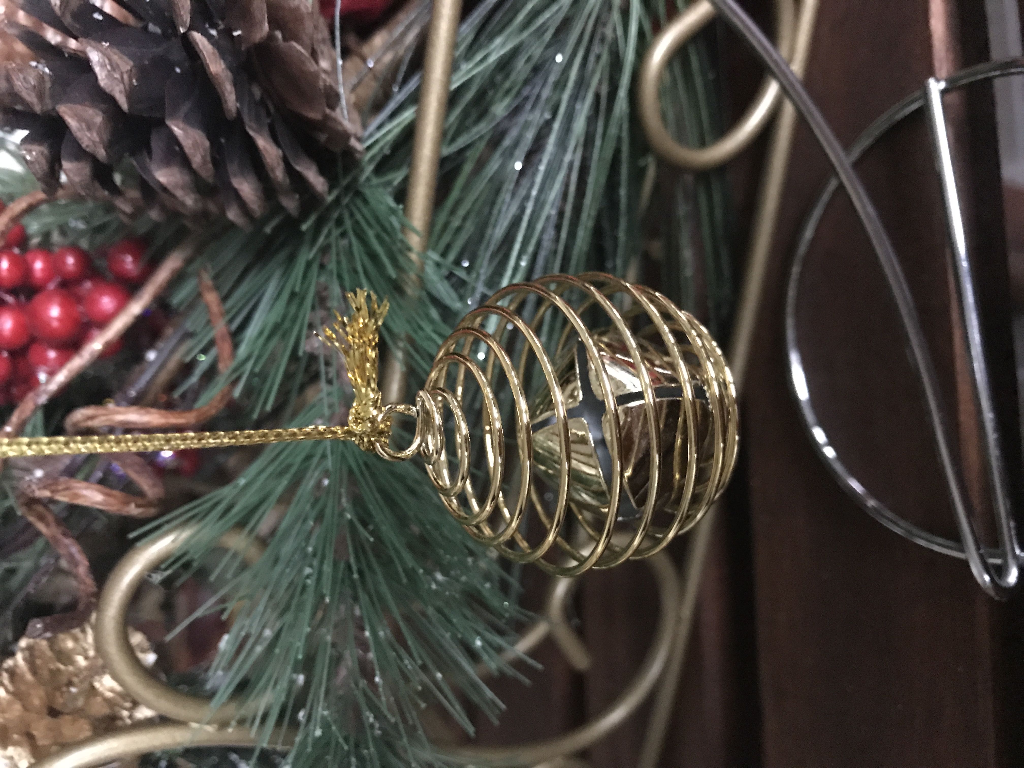 Disney Parks Animal Kingdom