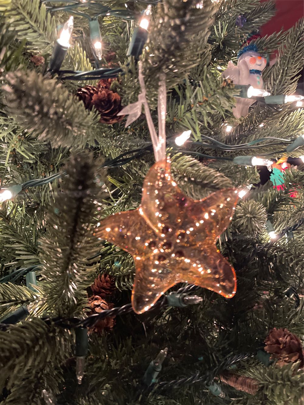 Hallmark Keepsake. Summer. 2019. Stunning Star. Sculpted By Debra Nielsen. - Stunning Starfish (Beach) ornament collectible [Barcode 763795463589] - Main Image 4