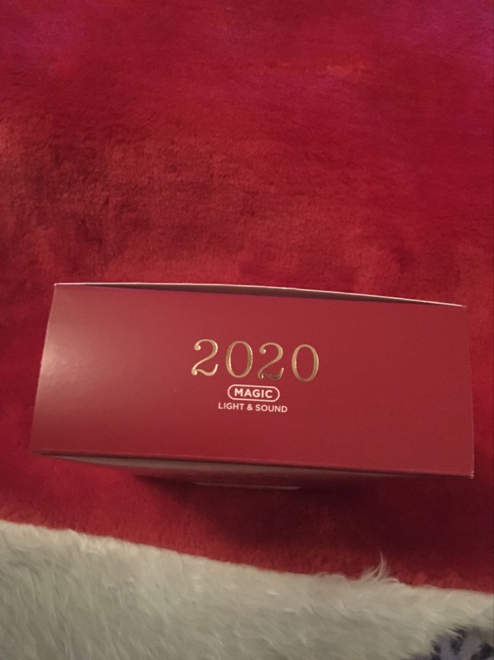 Disney: Haunted Mansion Hitchhiking Ghosts - Disney The Haunted Mansion (Disney Haunted Mansion) ornament collectible [Barcode 763795556465] - Main Image 3