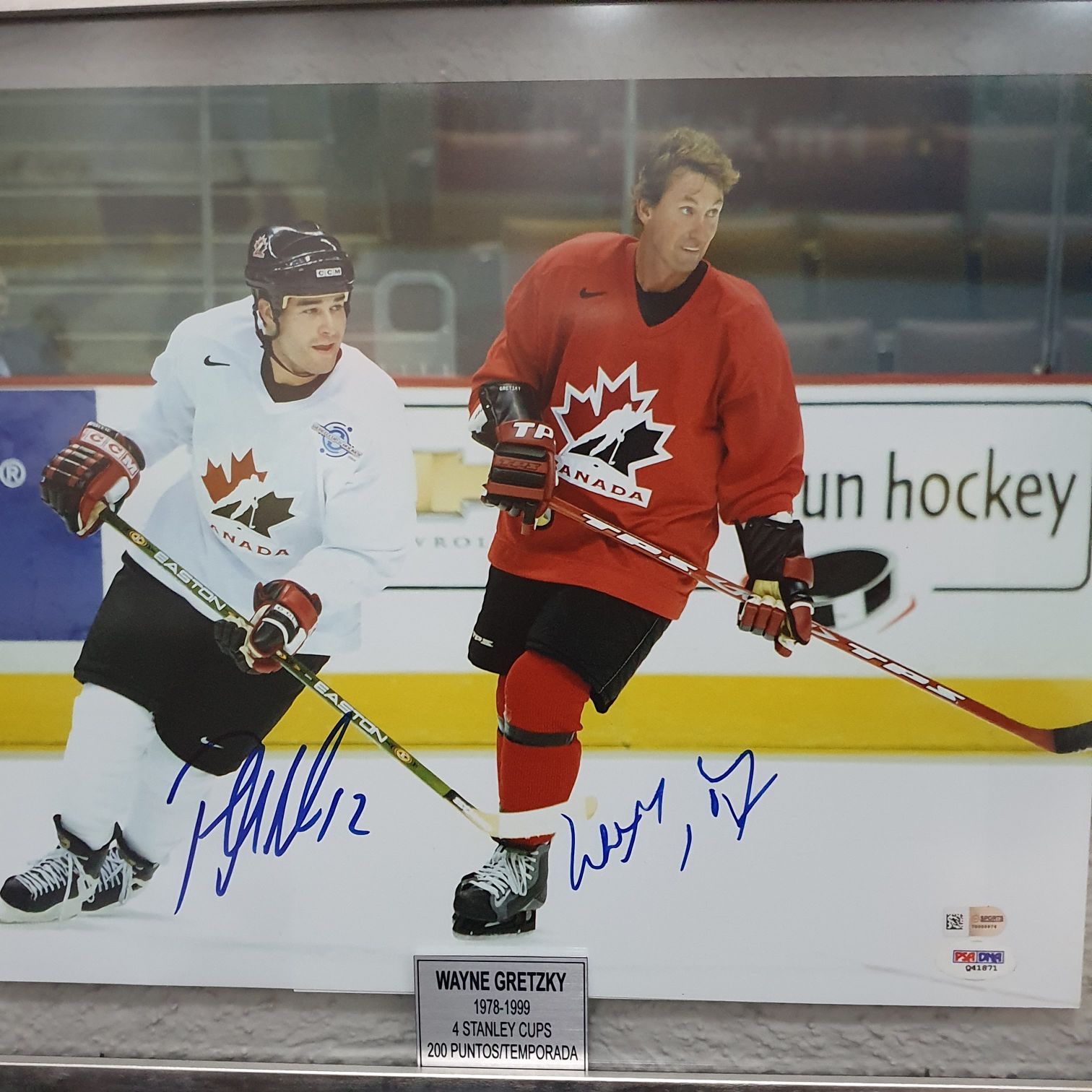 Flexible Autumn Hedge