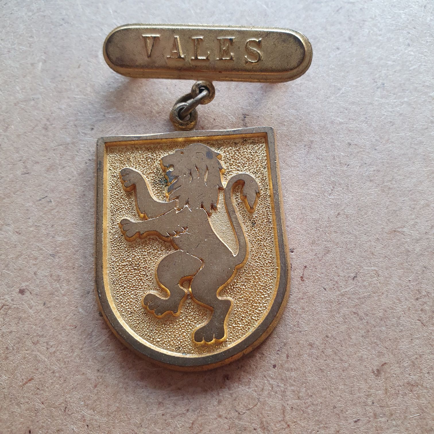 Medalla Vales - La Salle (Medallas) ornament collectible - Main Image 2