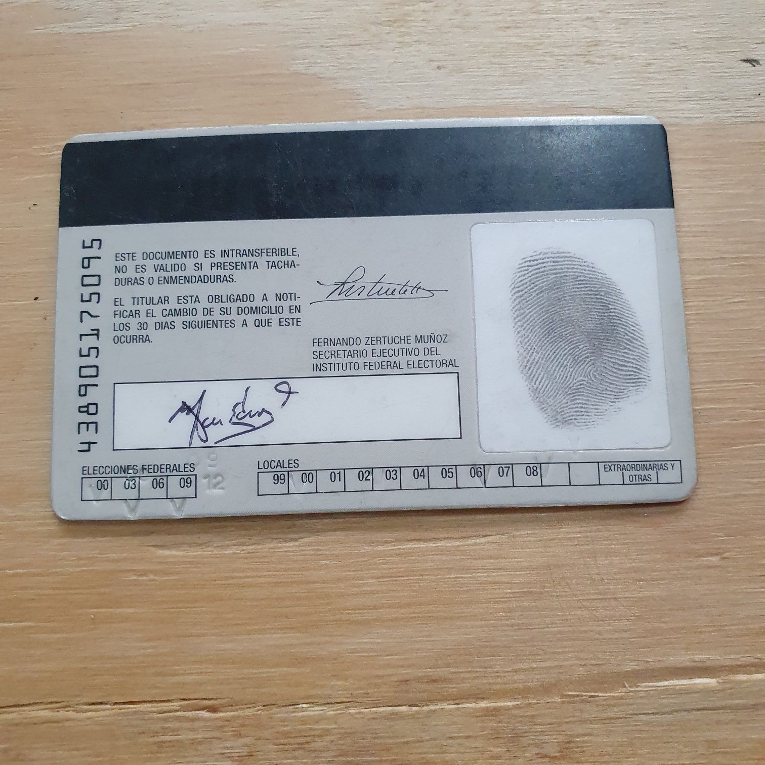 IFE  (Identificación) ornament collectible - Main Image 2