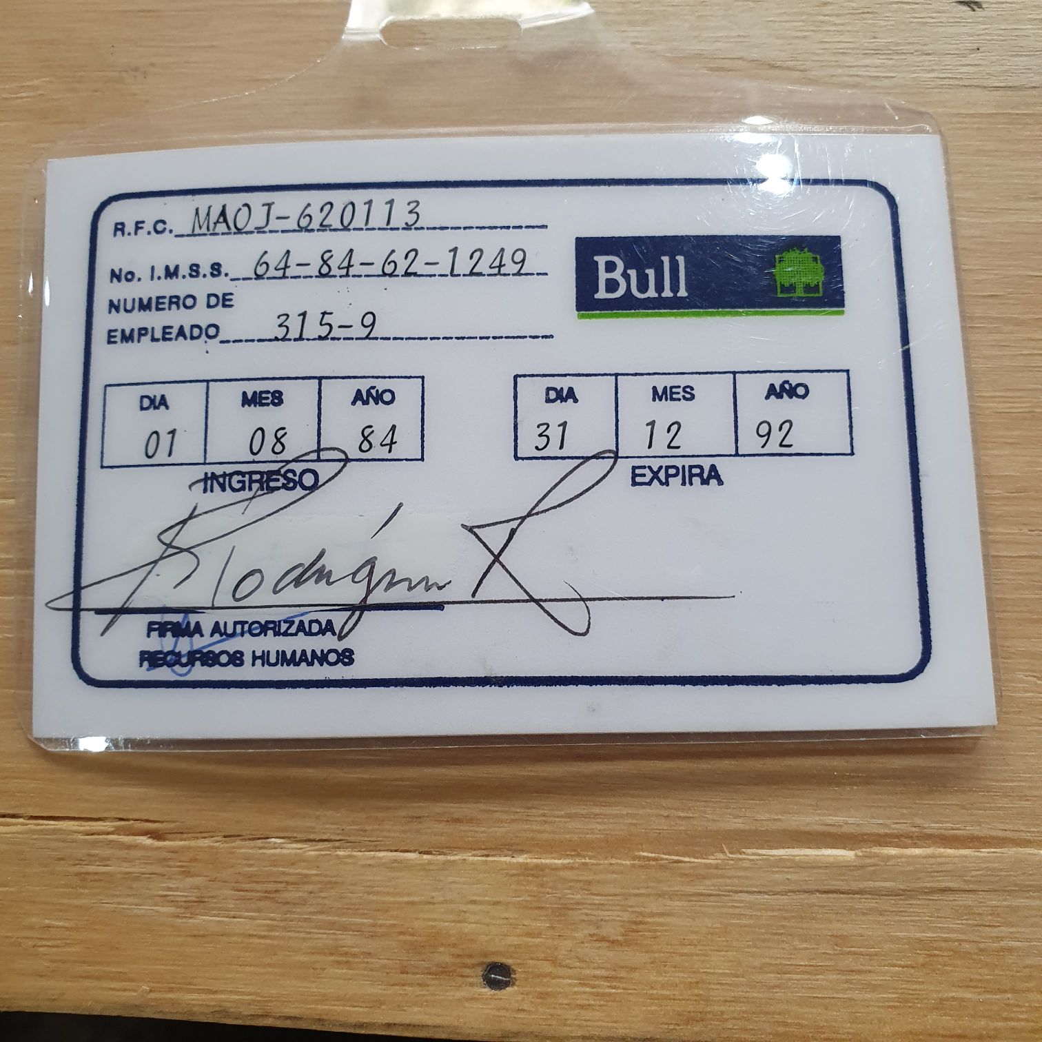 Bull HN Sistemas De Información  (Identificación) ornament collectible - Main Image 2