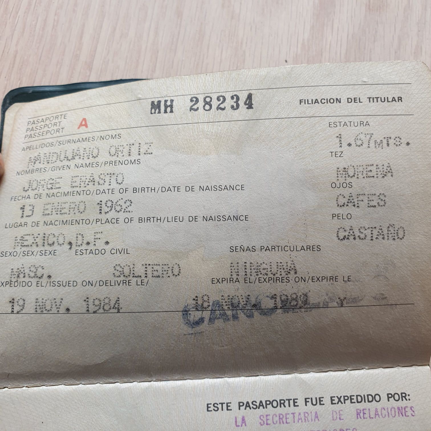 2019 - Wild Ride On Endor (ewok)